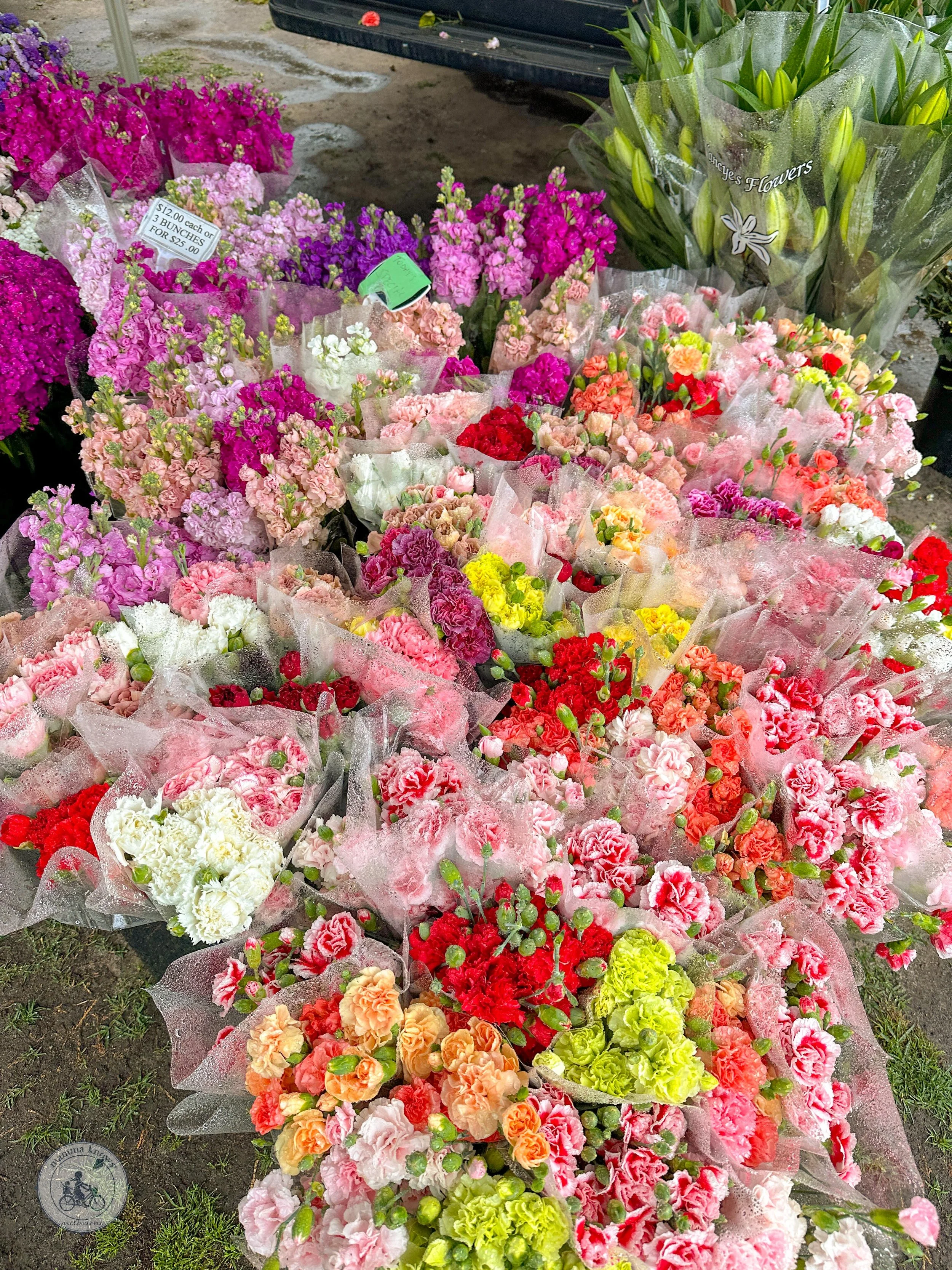 bentleigh farmers market, bentleigh - copyright mamma knows south-04.JPG
