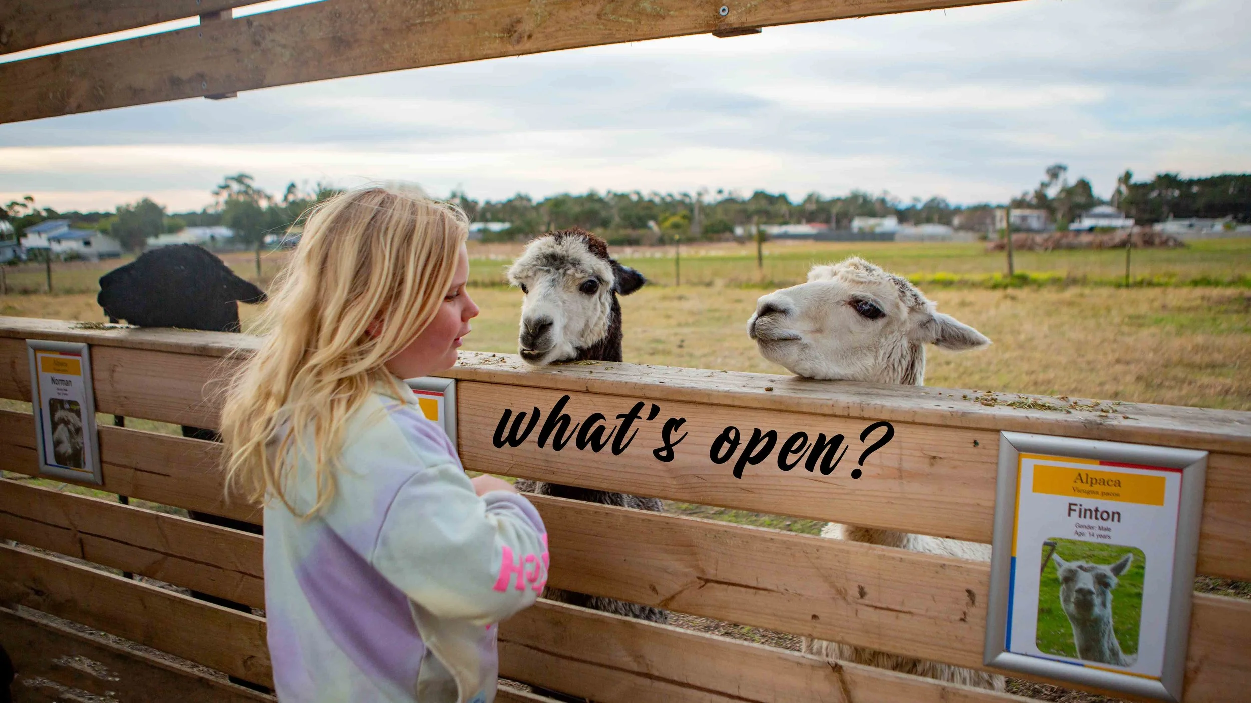 boxing day public holiday