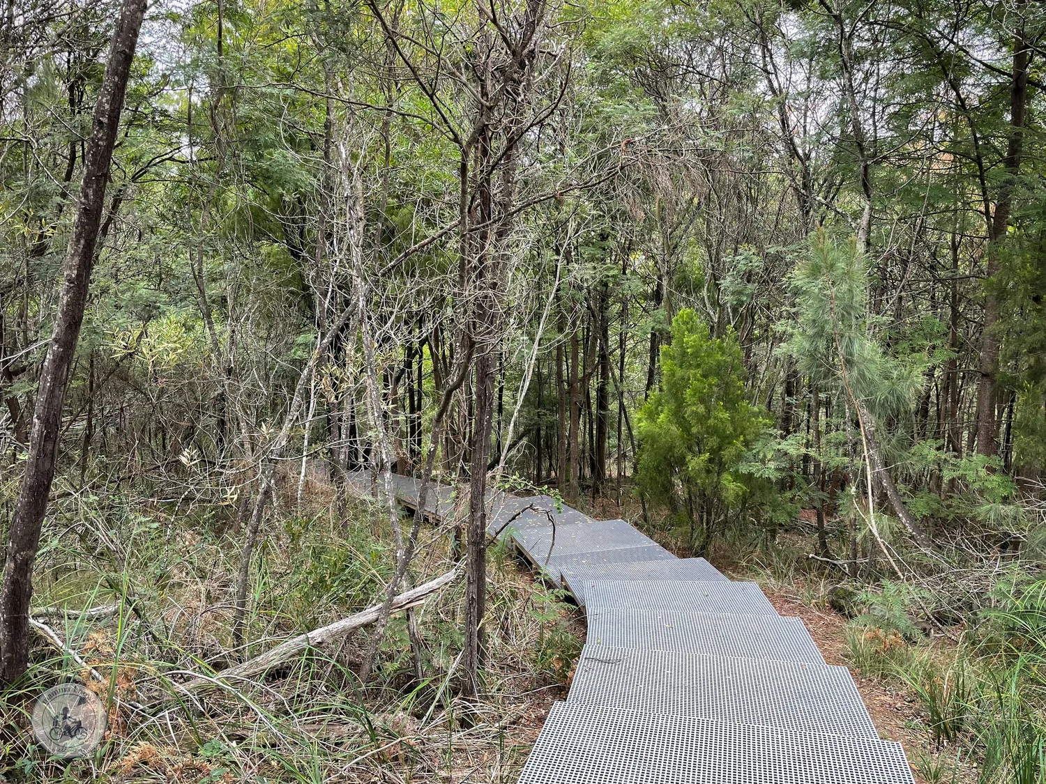 frankston nature conservation reserve