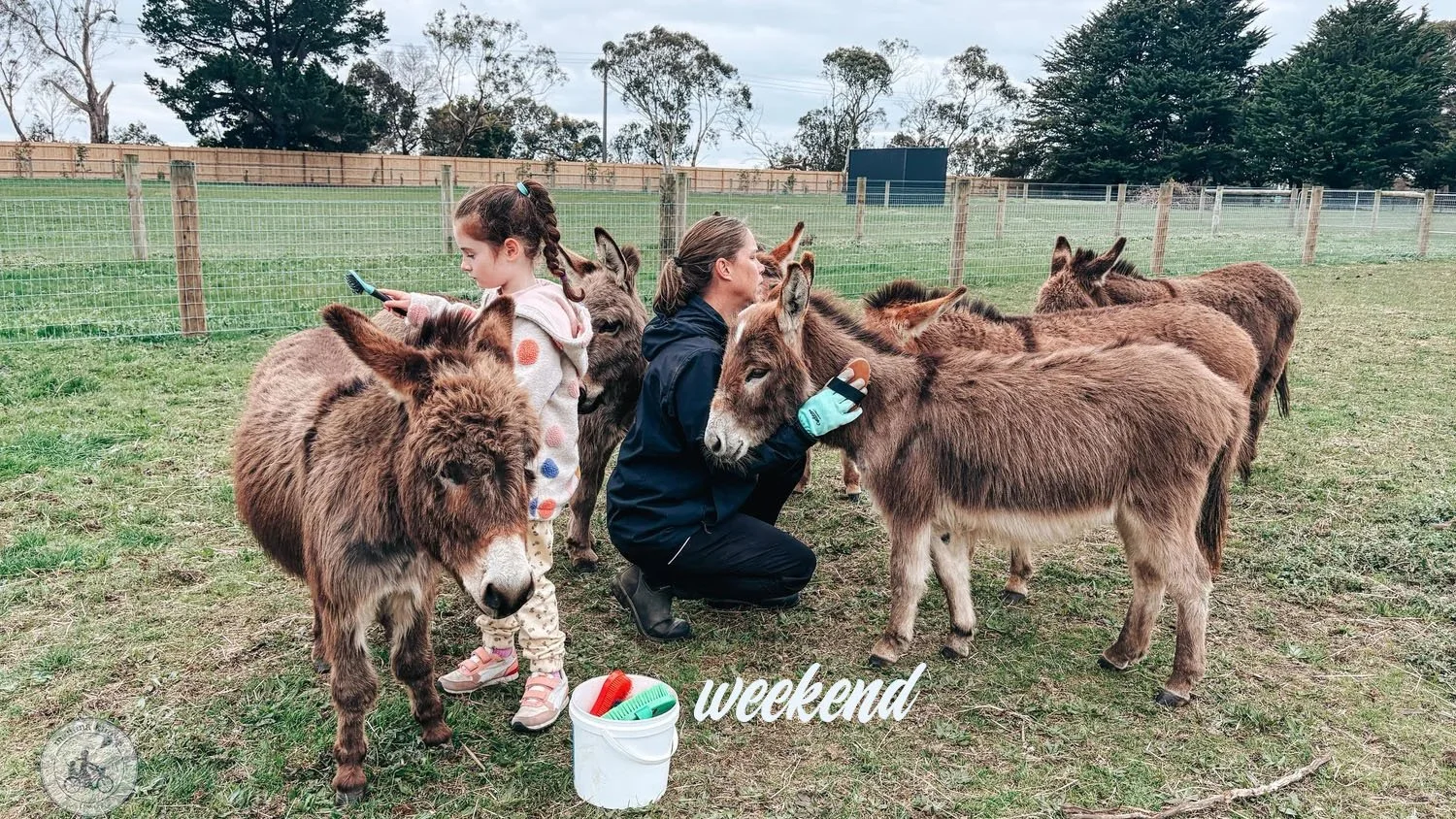 weekend website - 2nd oct.jpg