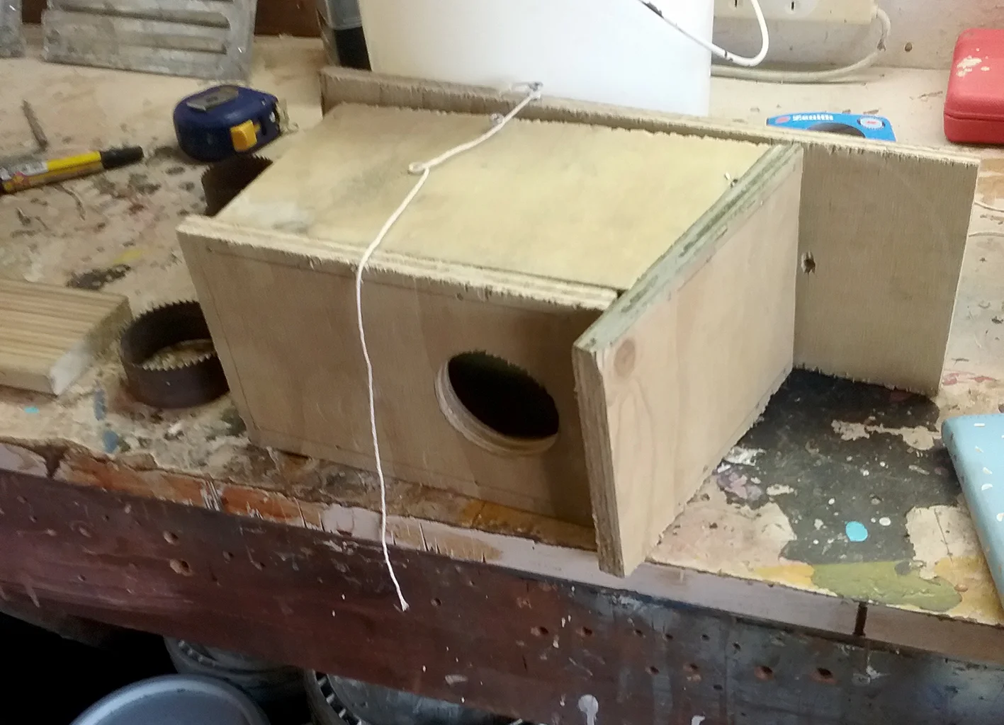 Bird house under construction.