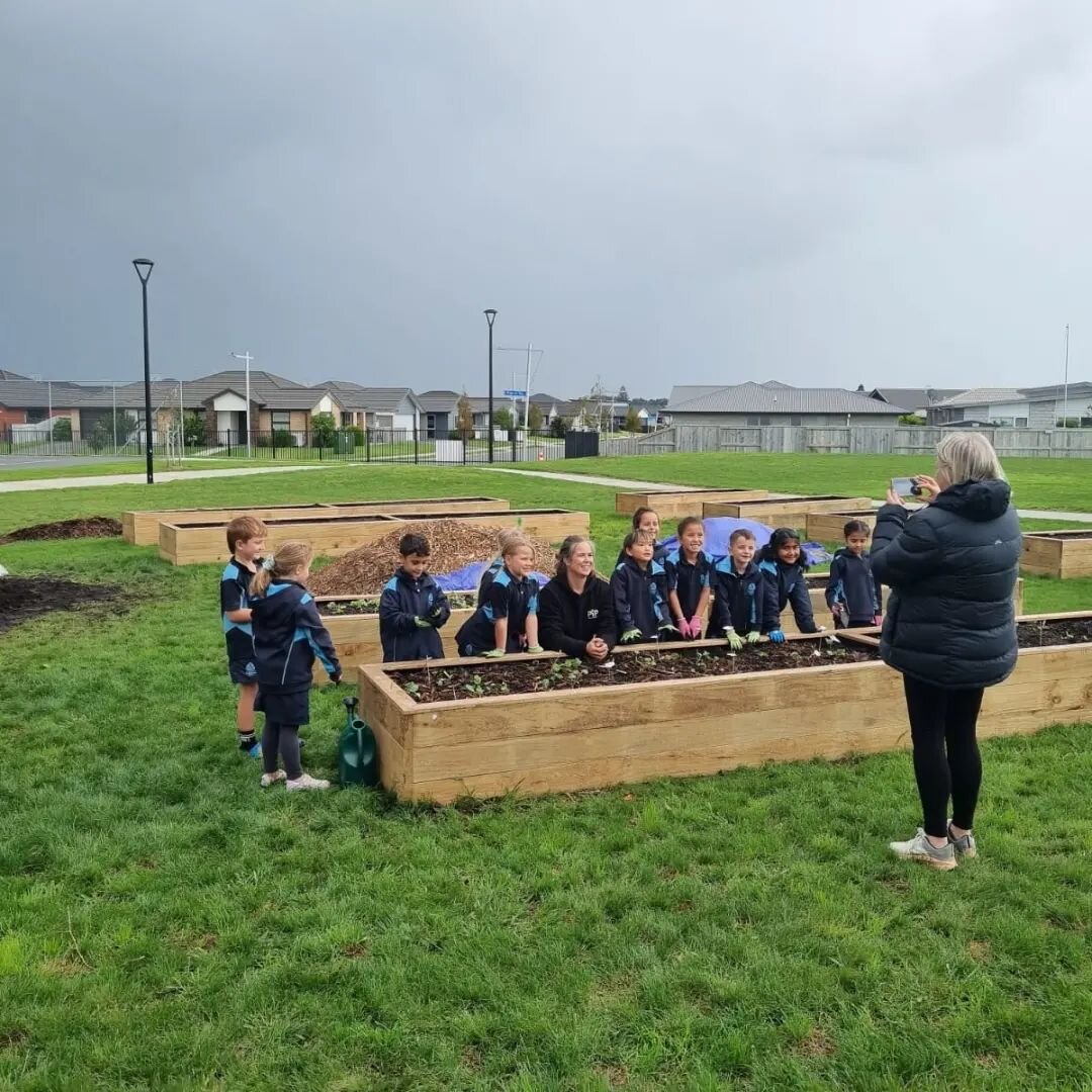 Today we had Ellen from @papamoapost come and talk to us about our gardens and take photos of what we have been doing! 
Mataatua built a garden bed this morning and Takitimu planted it with Renga Renga Lillie's donated by a community member