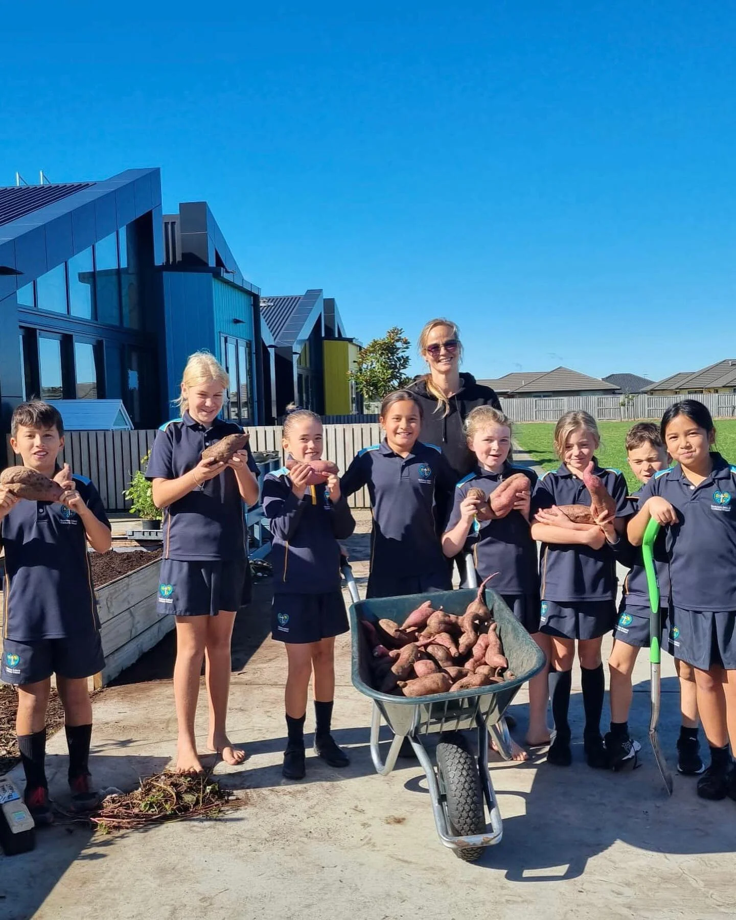 We&rsquo;ve had a fantastic day @ Suzanne Aubert Catholic School filled with sunshine and excitement! The clear blue sky provided the perfect backdrop for our students to get their hands dirty and harvest Kumara from our school garden. We were thrill