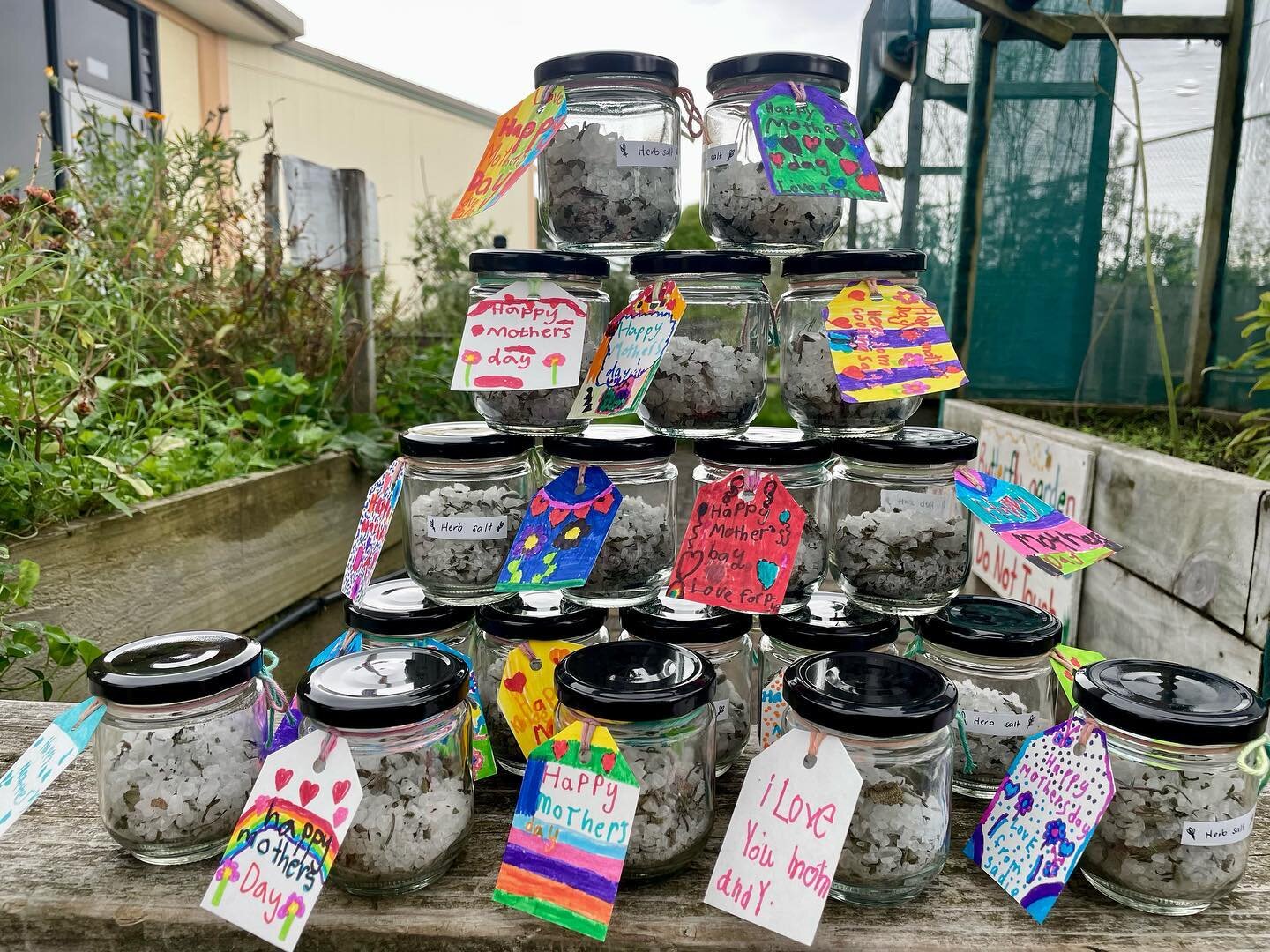 At St. Thomas More School we have been making &ldquo;herb salt&rdquo; !
We have been busy preparing a delightful surprise for Mother's Day over the past two weeks. With our school garden as inspiration, we carefully picked and dried herbs, chopped an