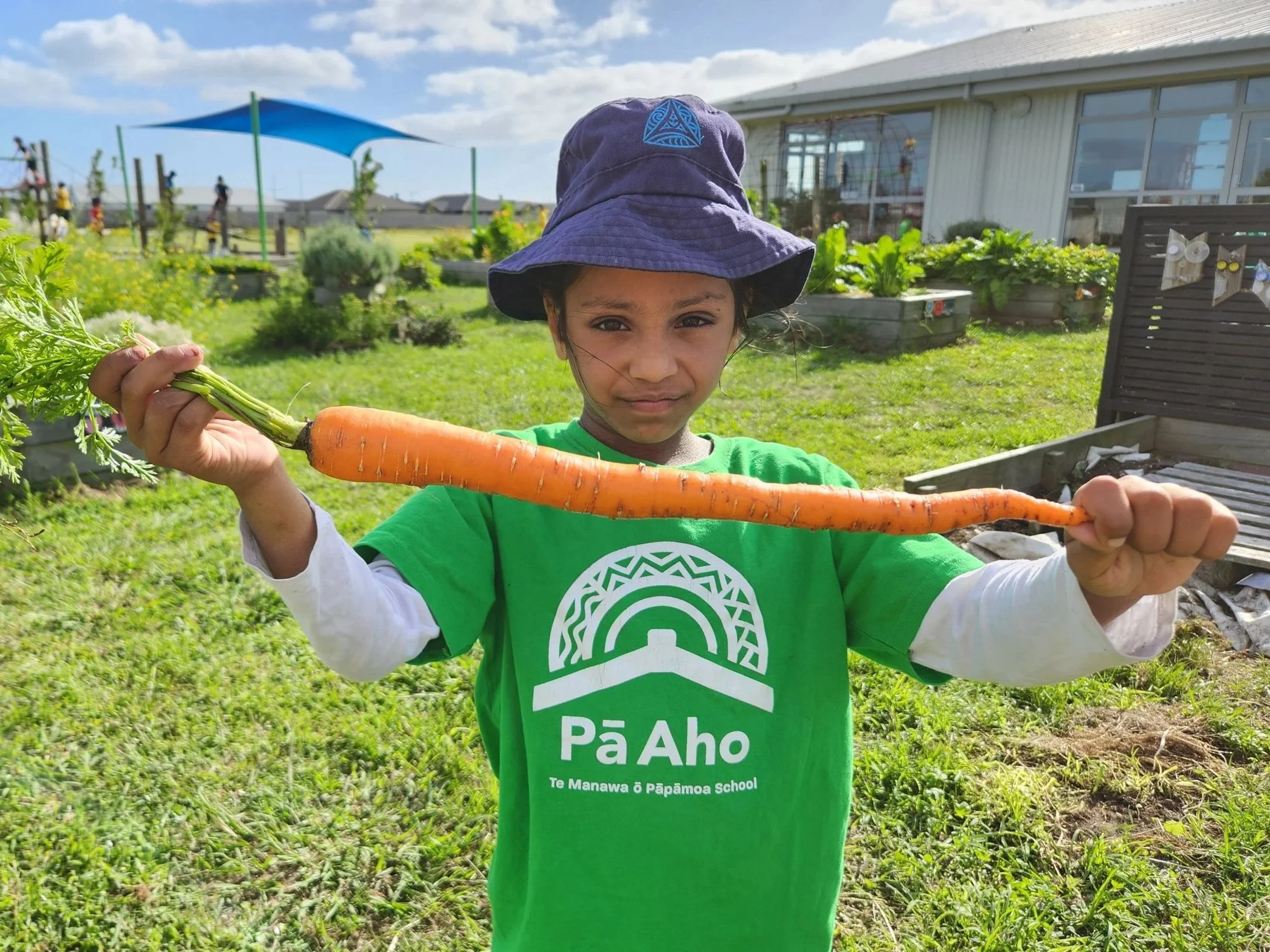 Term 1 2026 at Te Manawa o Pāpāmoa
