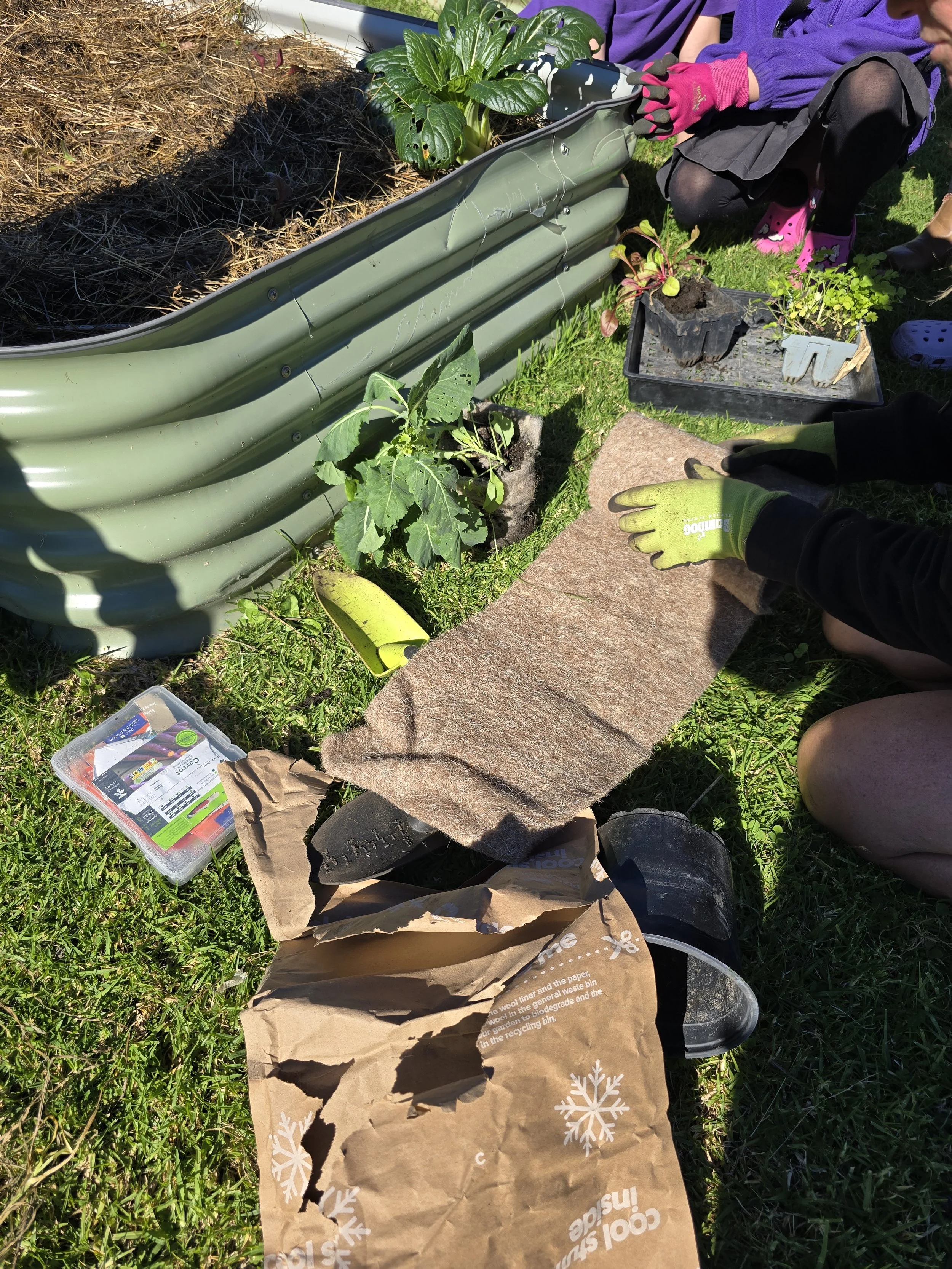 Golden Sands Gardening Term 3