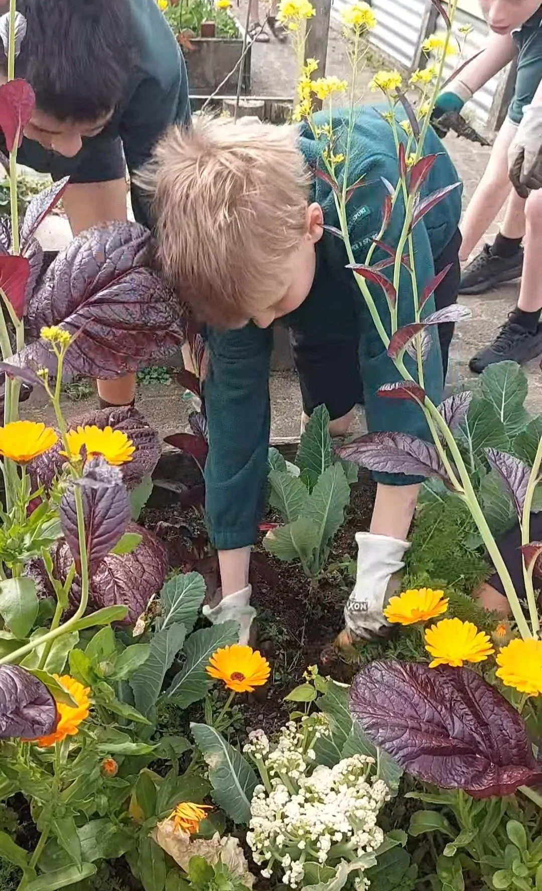 Mount Maunganui Intermediate - Term 3, 2026.
