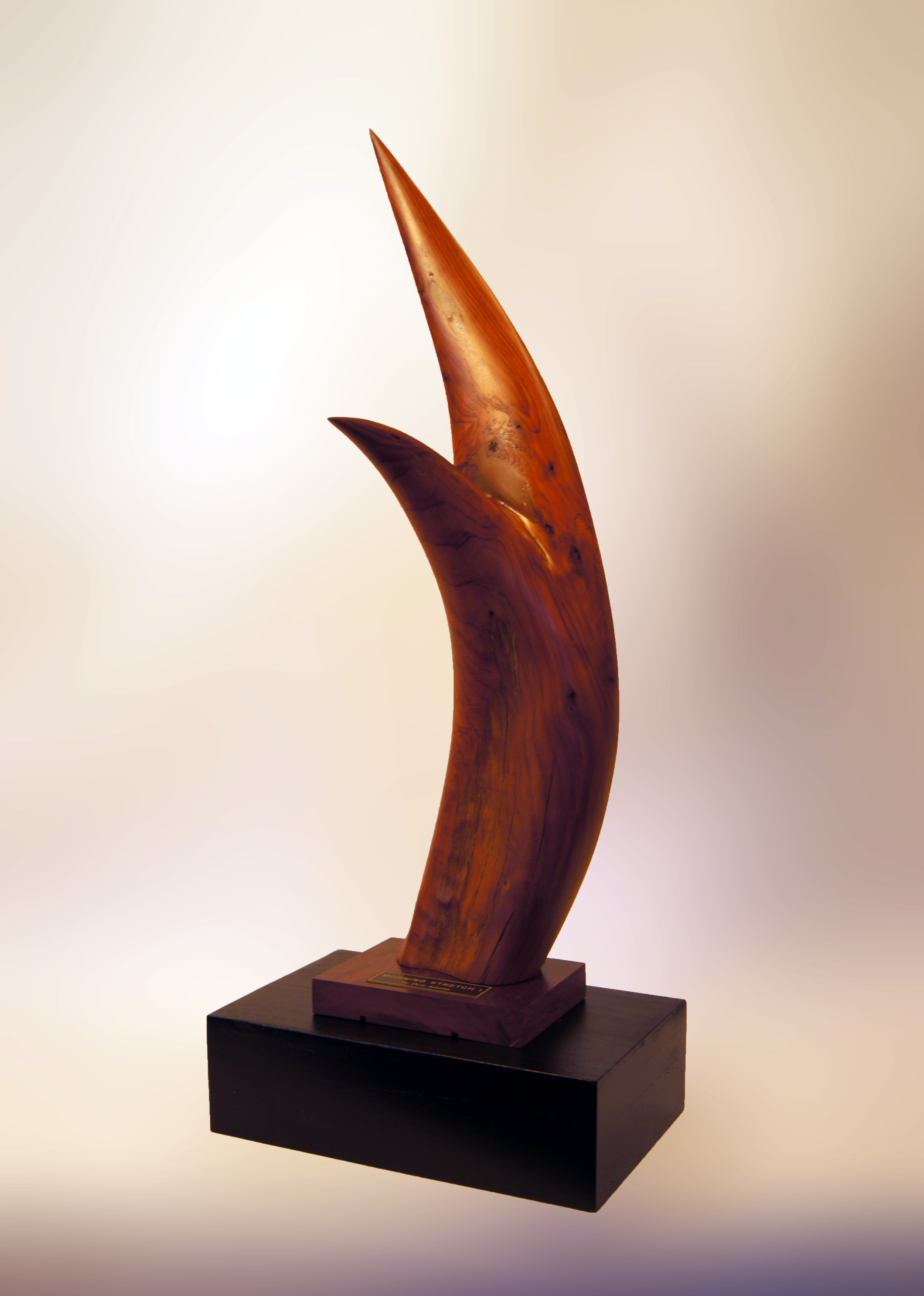 Morning Stretch I.jpeg