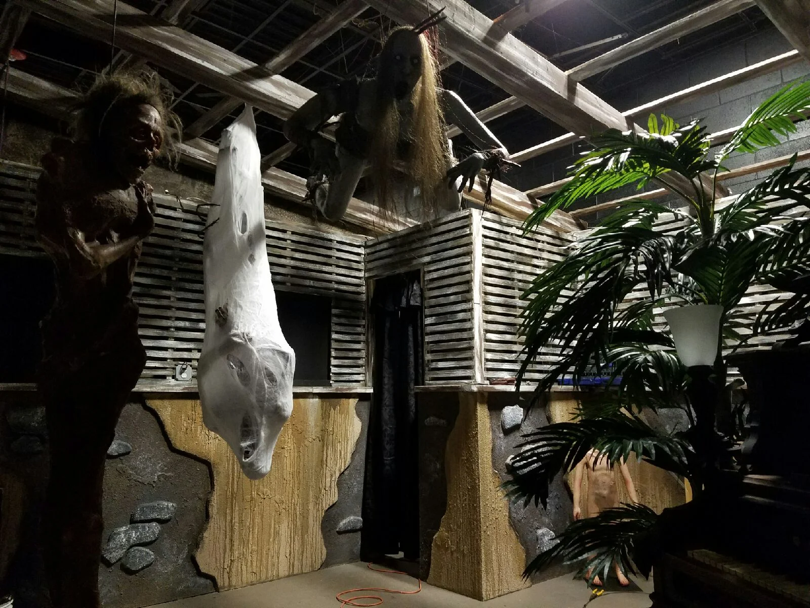 Resized_20160924_233737-1.jpg