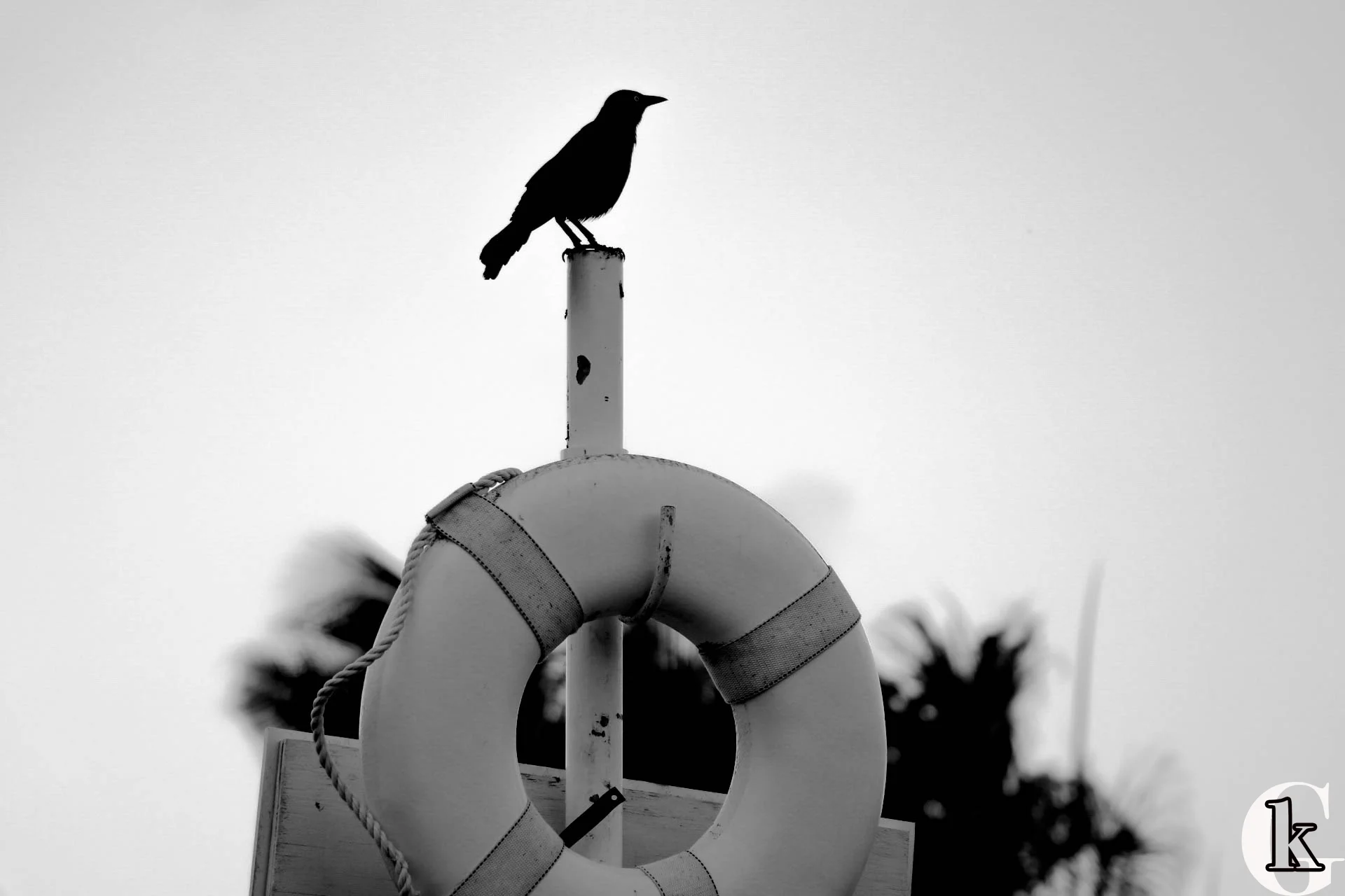 IMG_0194-with logo.jpg