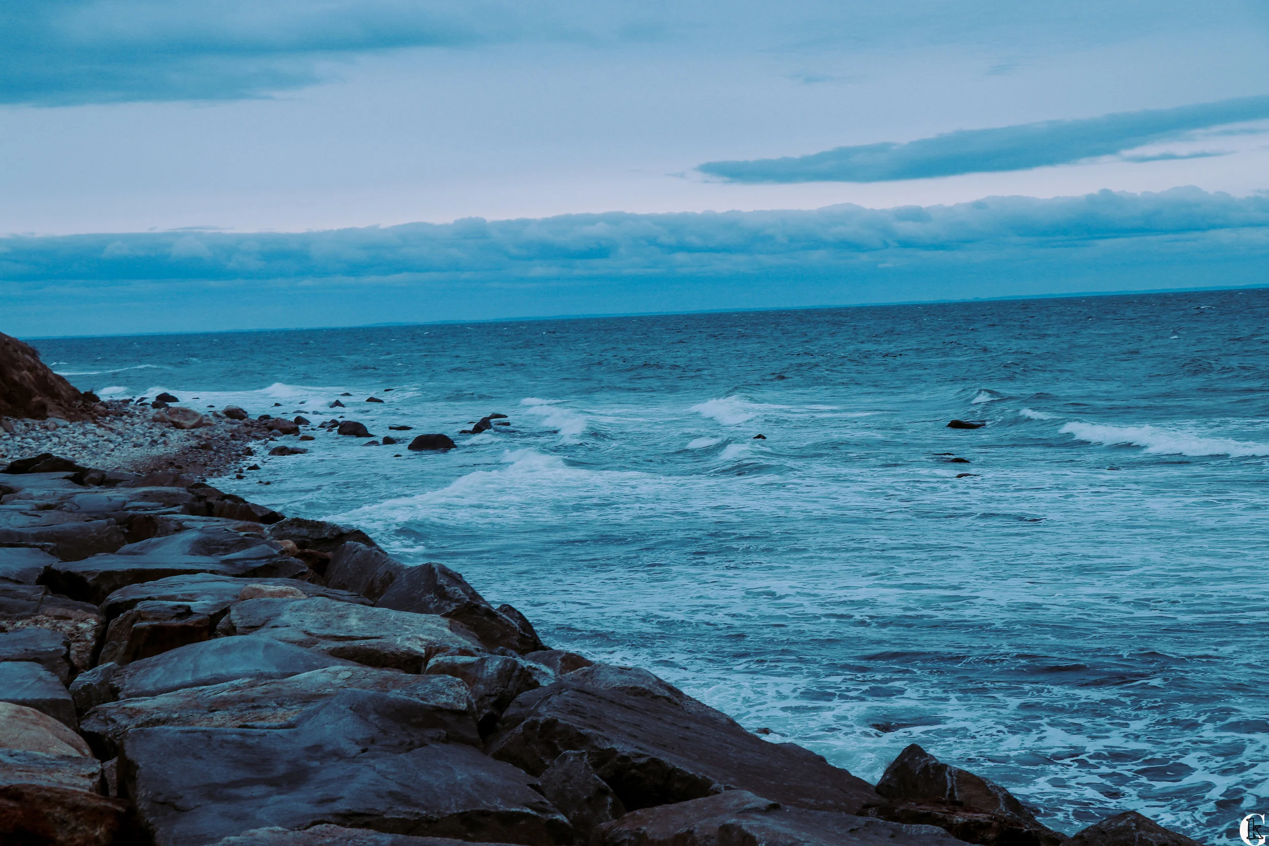 IMG_0319-with logo.jpg