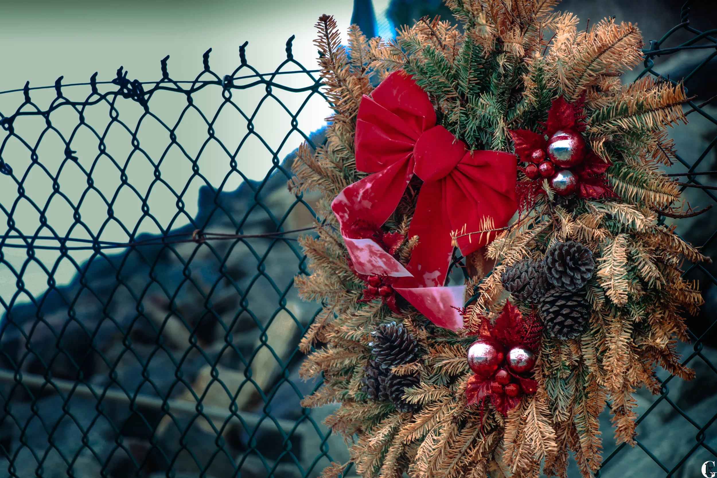 IMG_0322- with logo.jpg