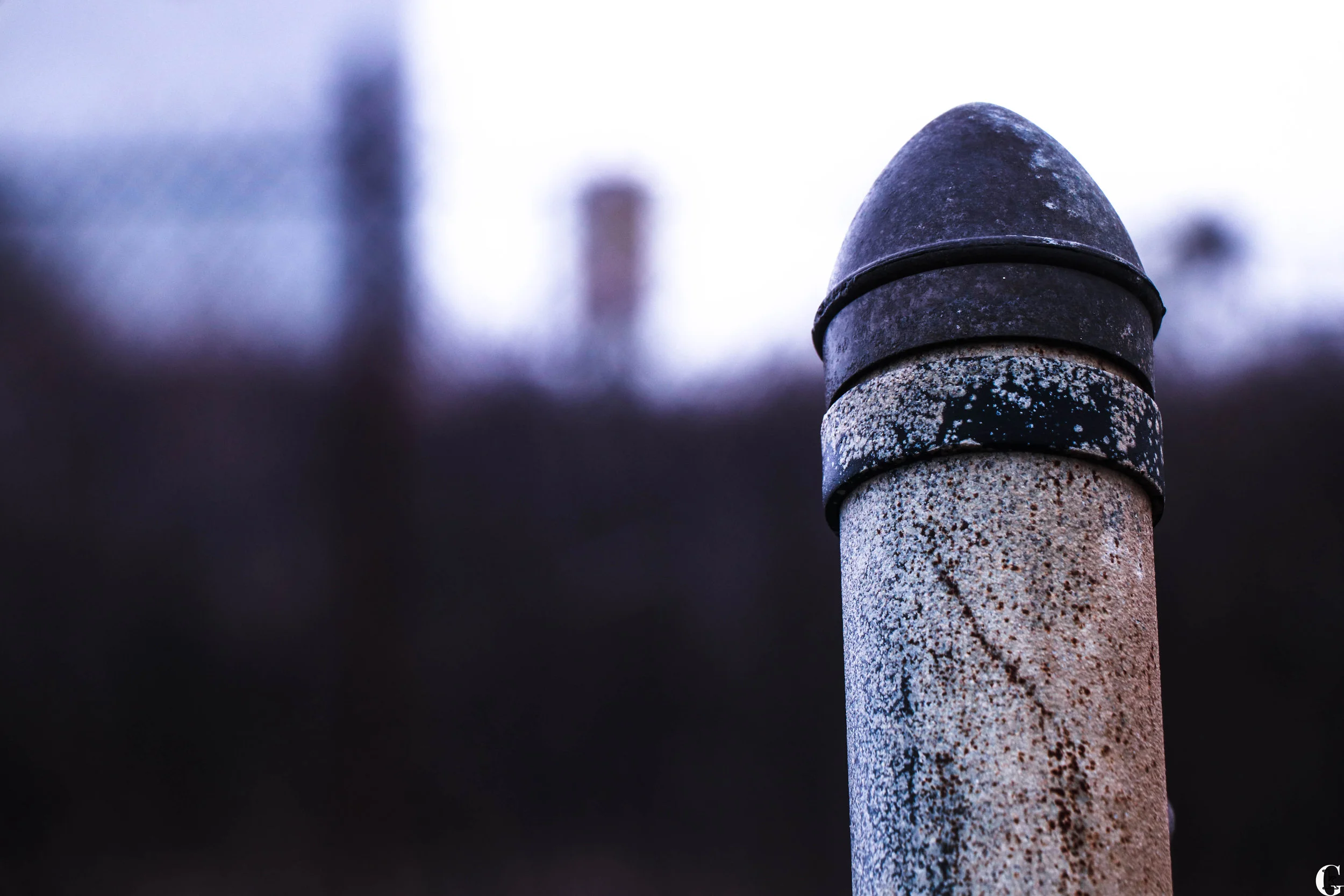 IMG_0327-with logo.jpg