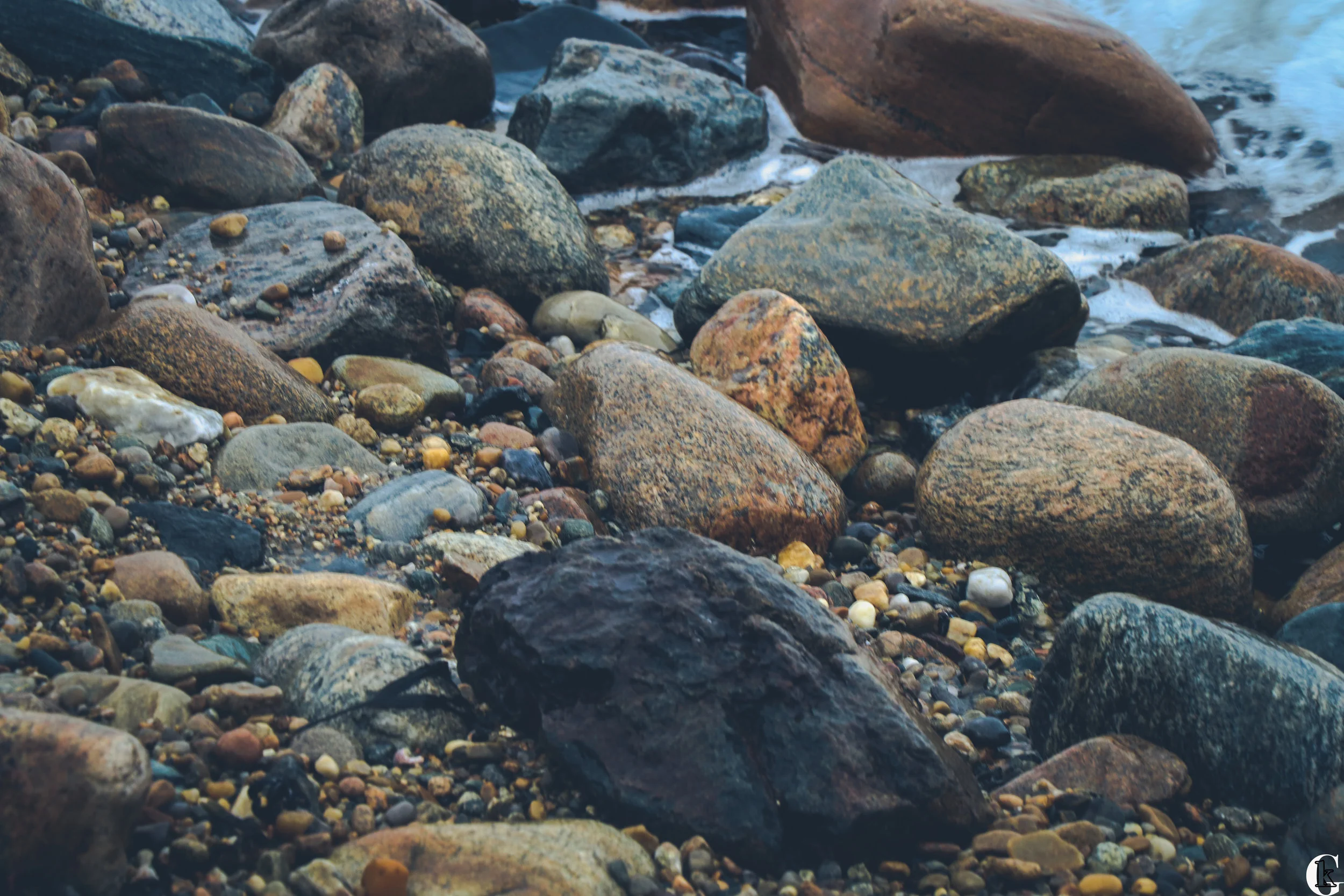 IMG_0362-with logo.jpg