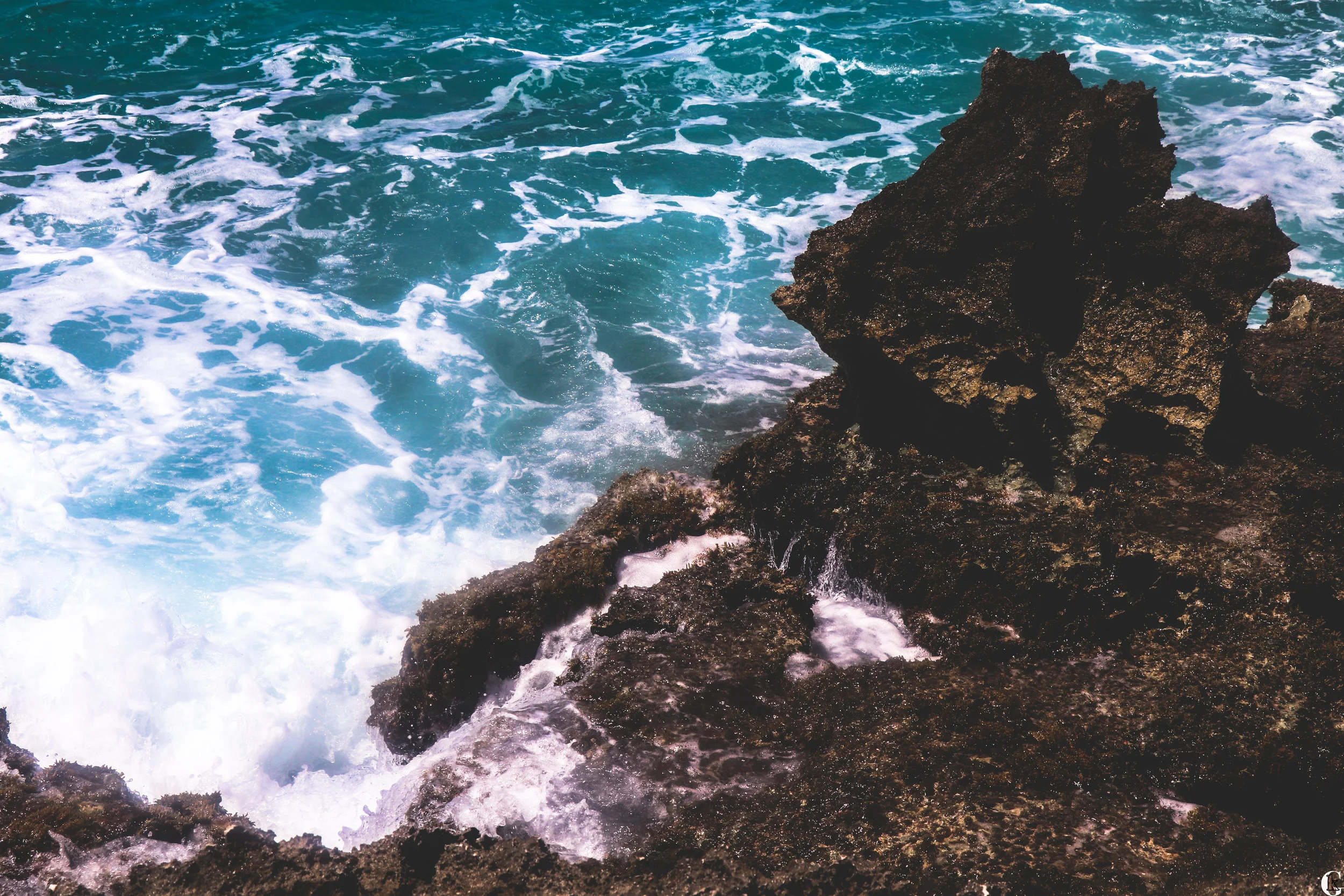 IMG_1206-2-with logo.jpg