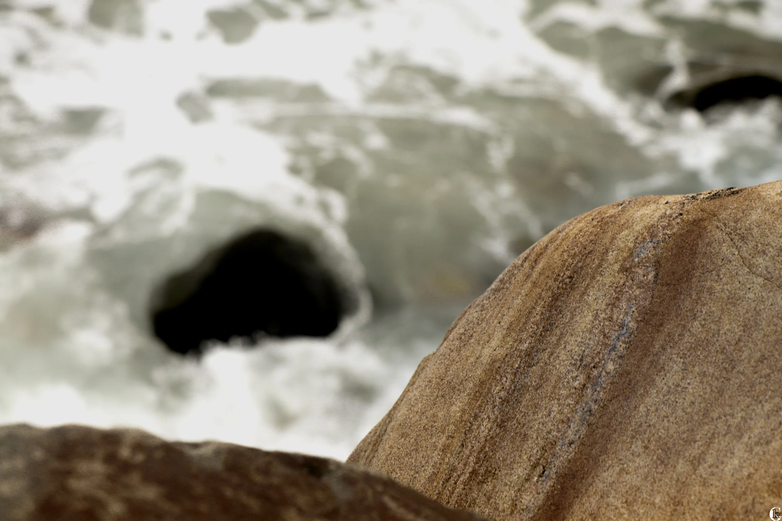 IMG_0359-with logo.jpg