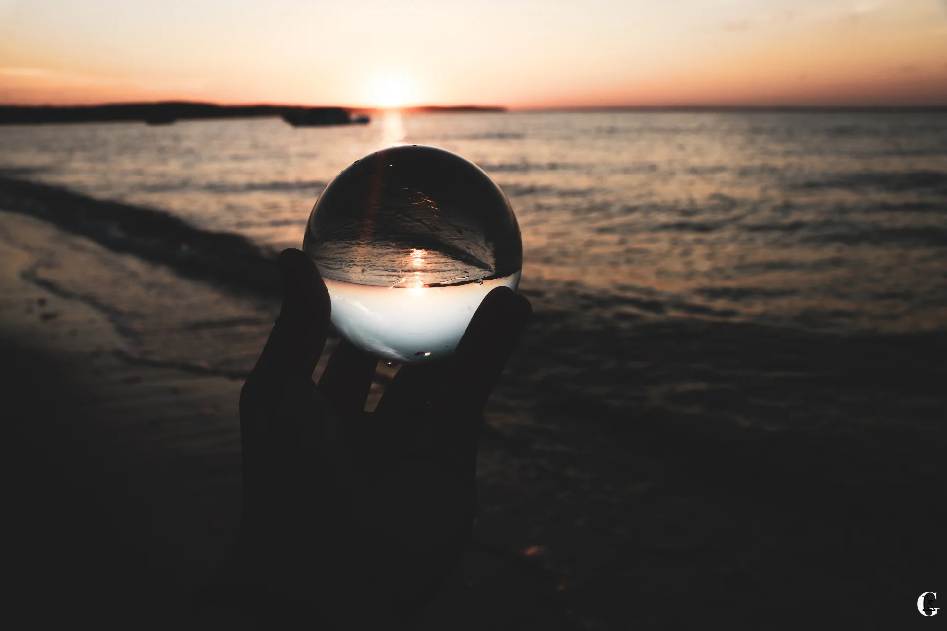 IMG_0887-with logo.jpg