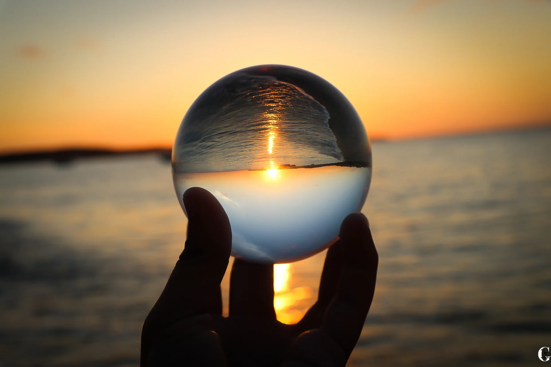 IMG_0874-with logo.jpg