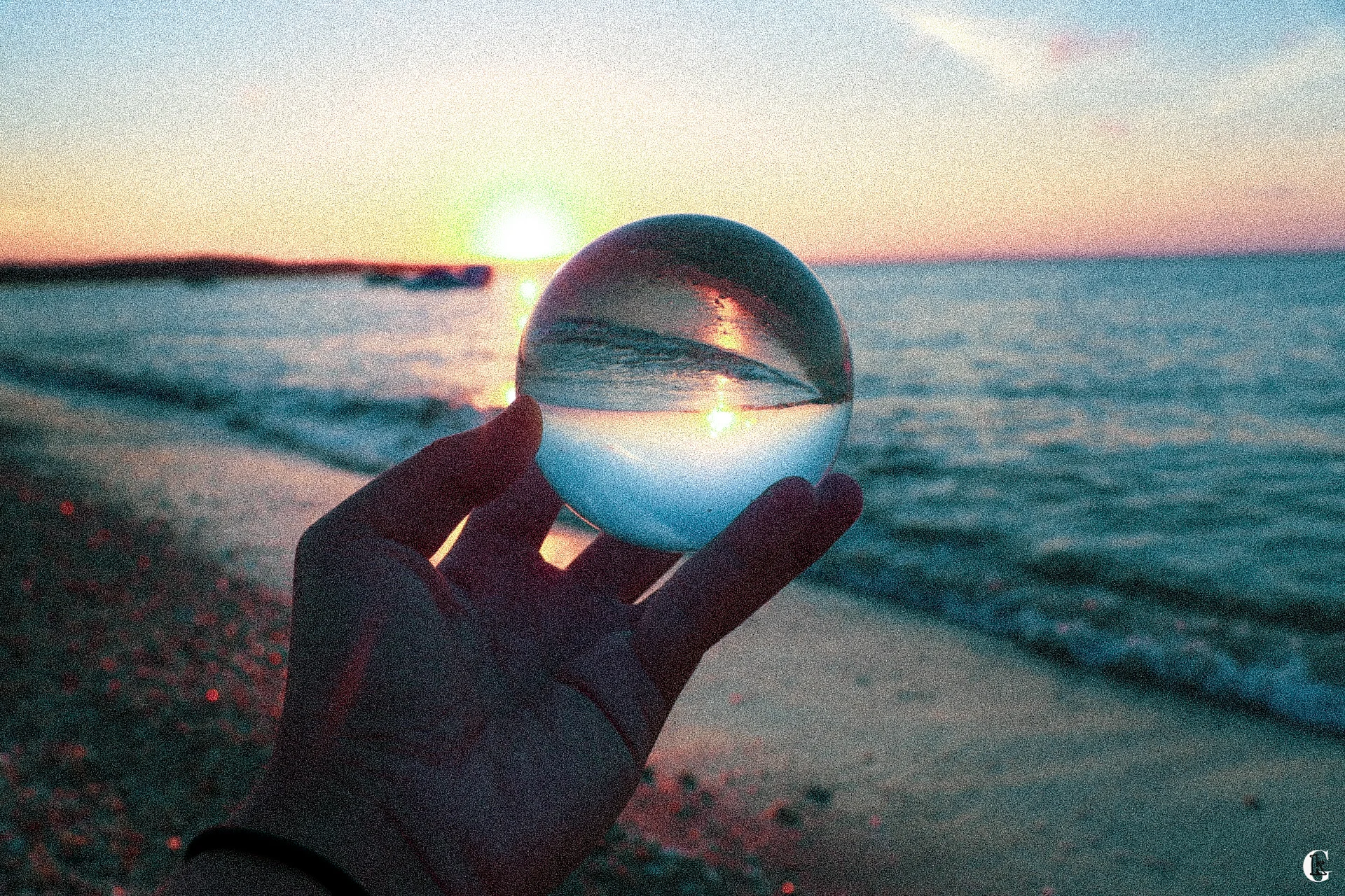 IMG_0876-with logo.jpg