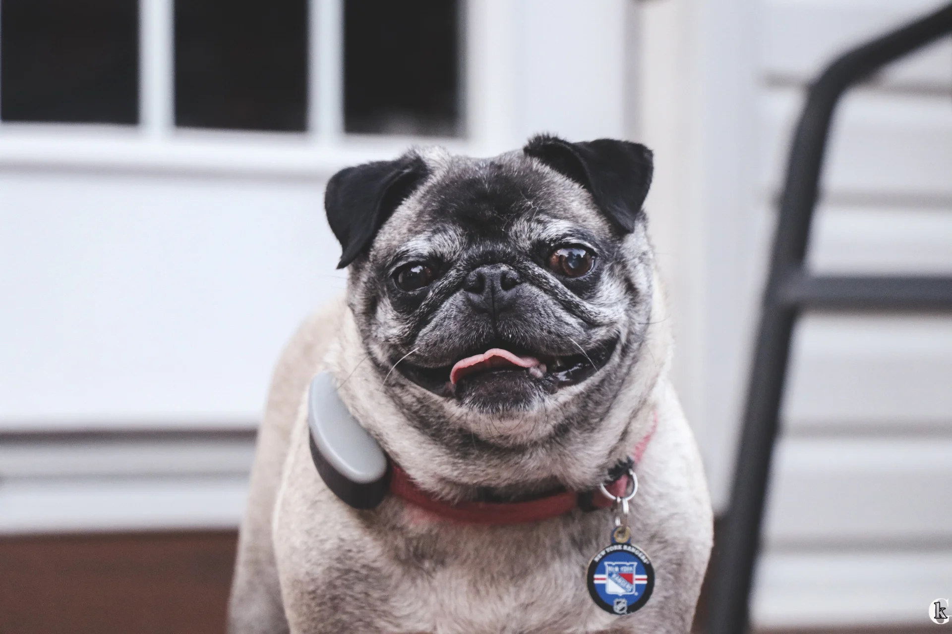 IMG_1266.with logo.jpg