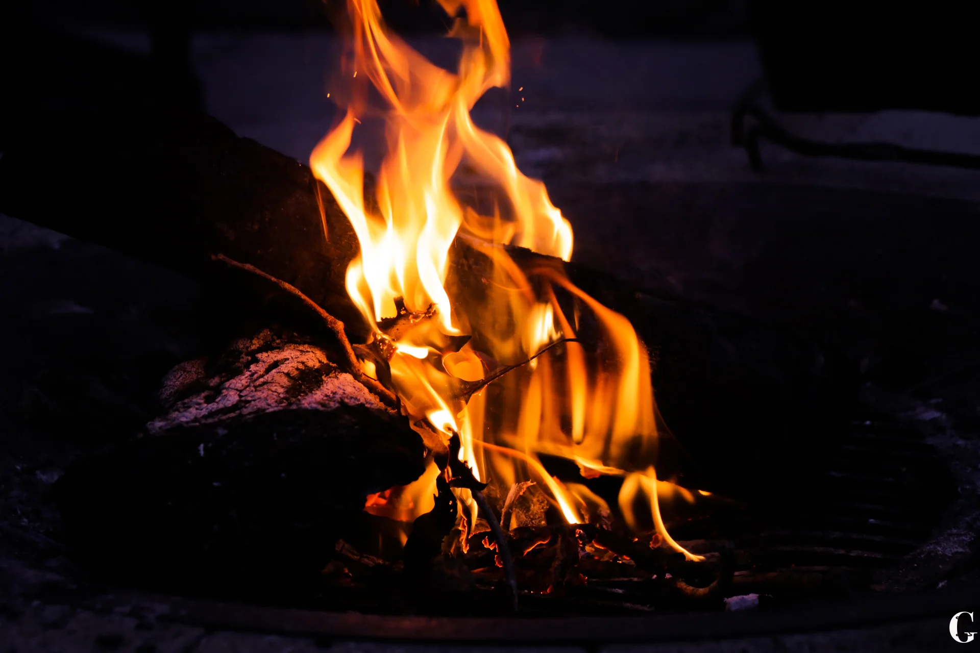 IMG_1292.with logo.jpg