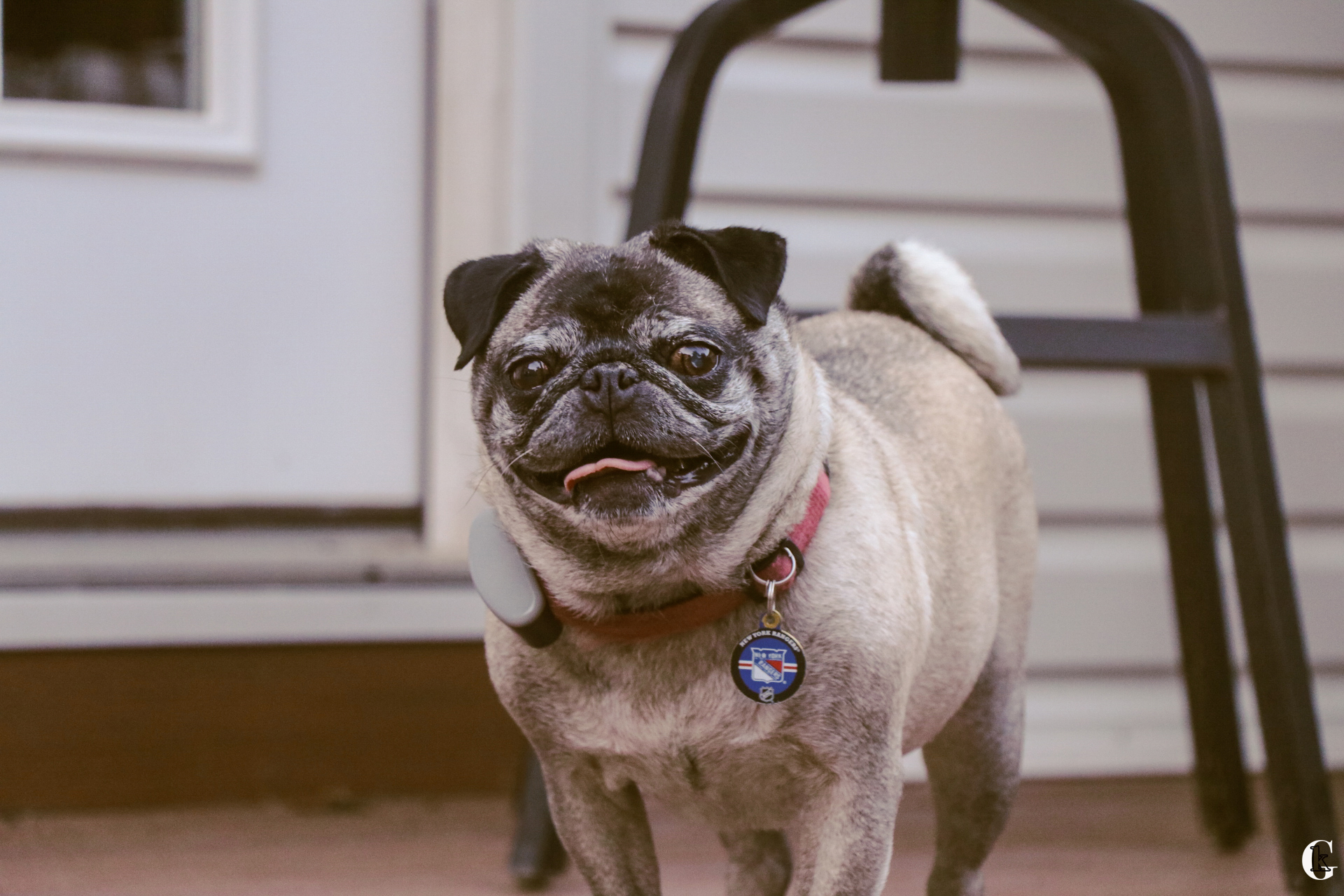 IMG_1267.with logo.jpg