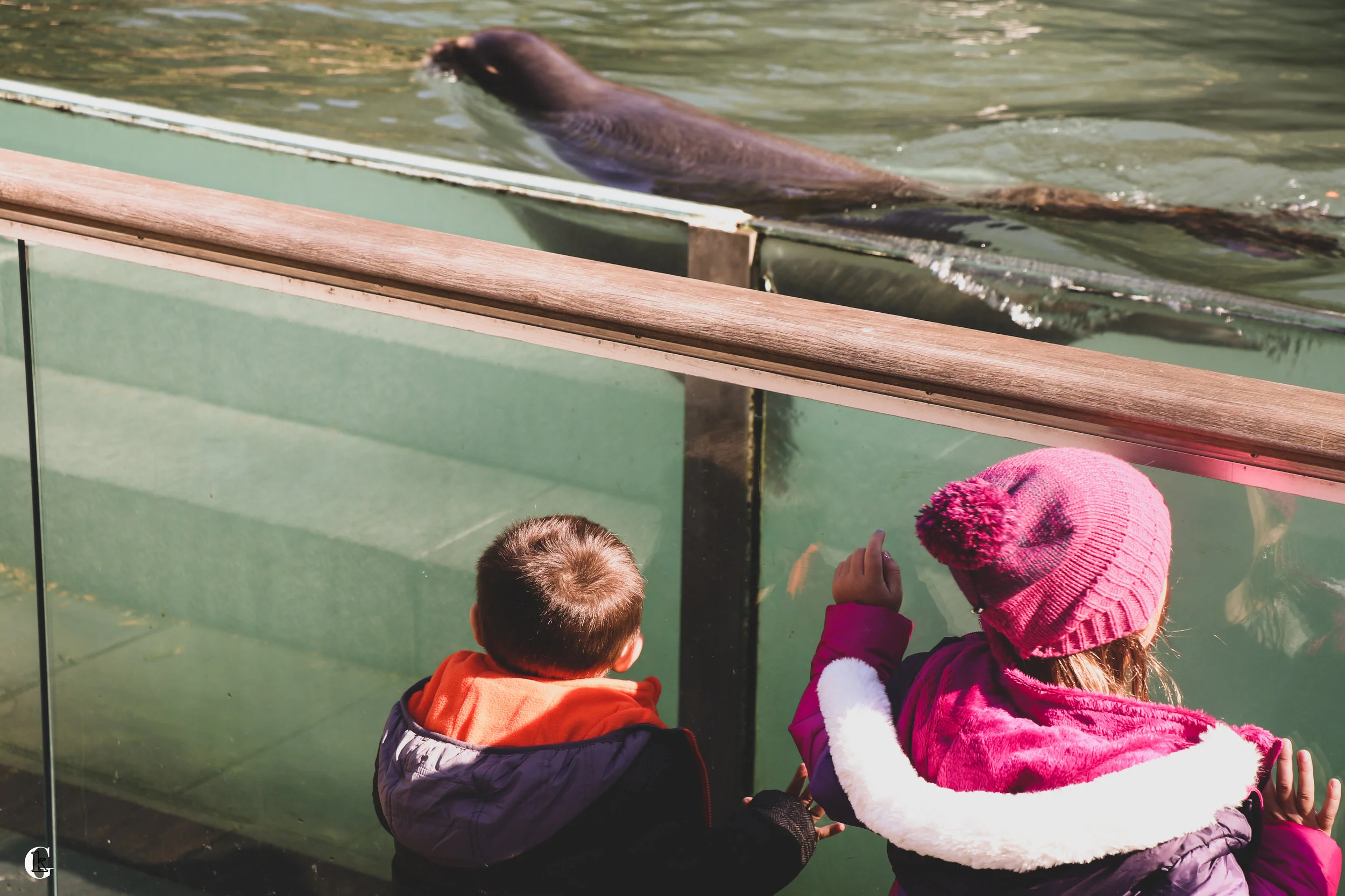 IMG_0029.with logi.jpg