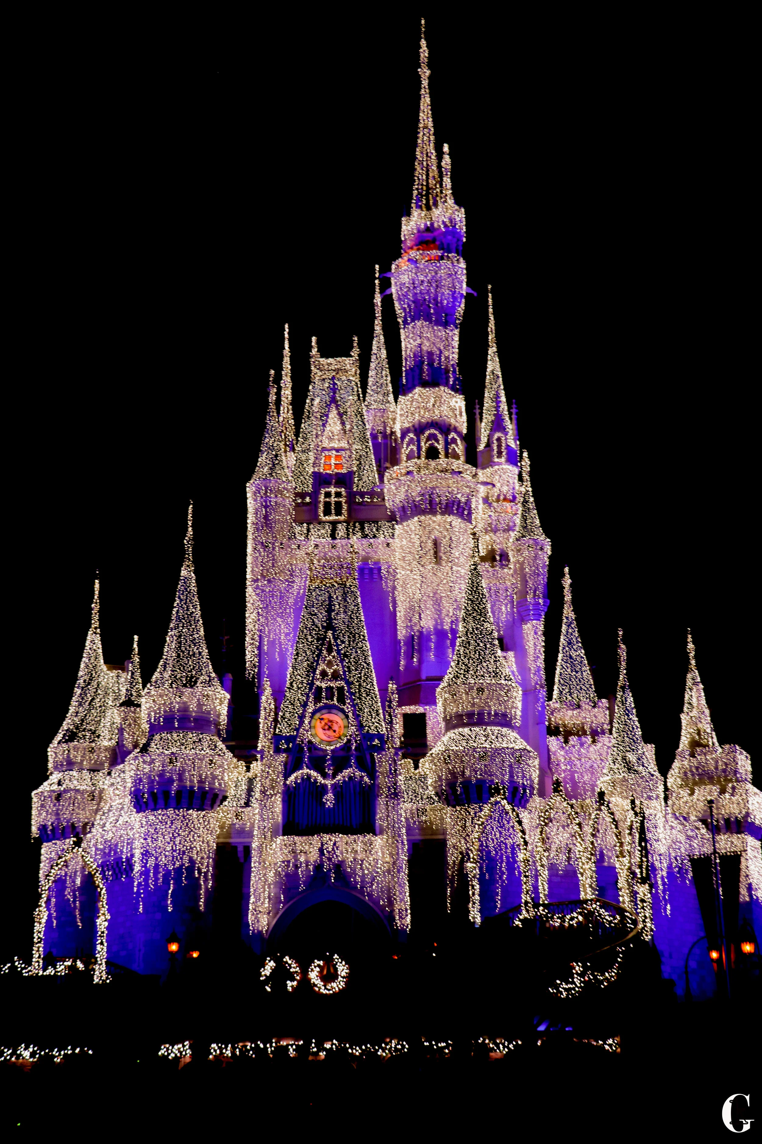 IMG_0101.with logo.jpg