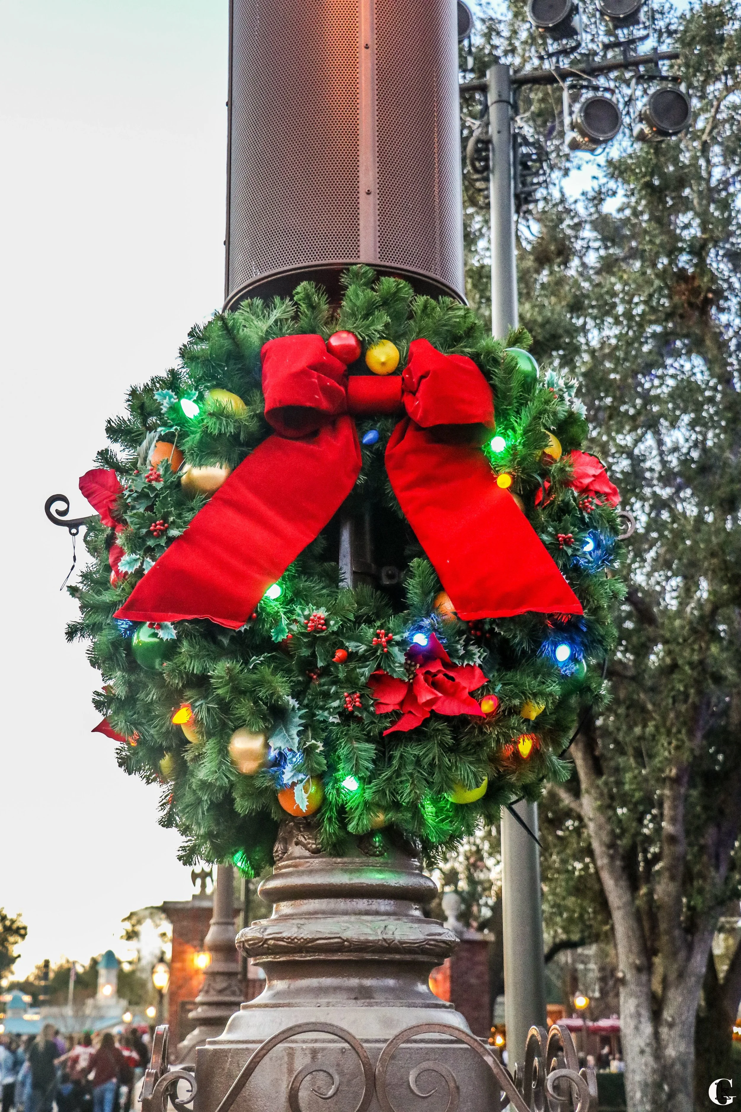 IMG_0100.with logo.jpg