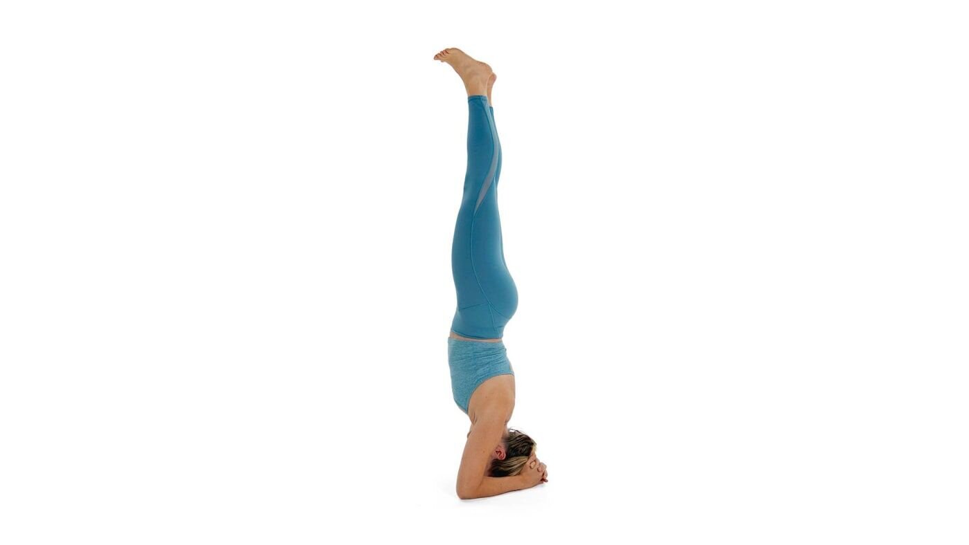 Sirsasana, or Headstand 