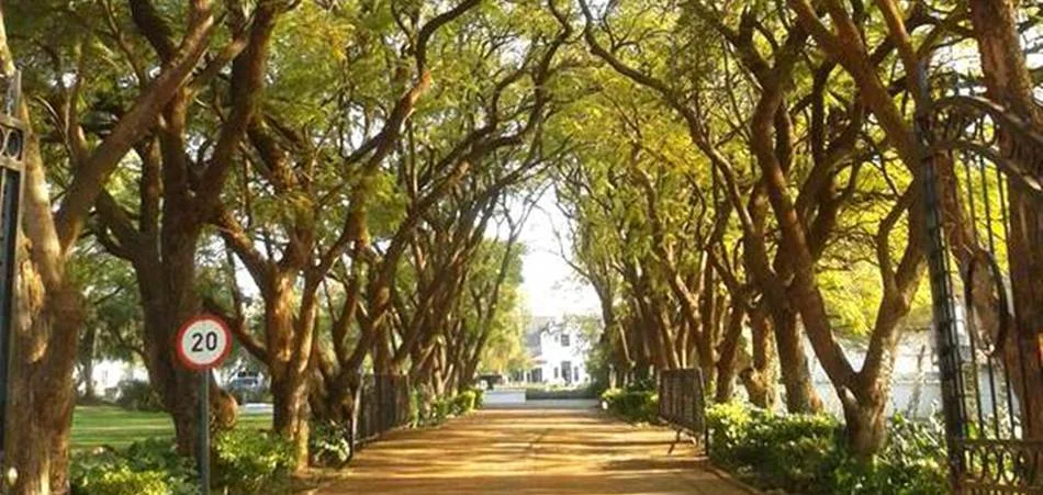 Welcome to The Villa: The Story of Our Stories