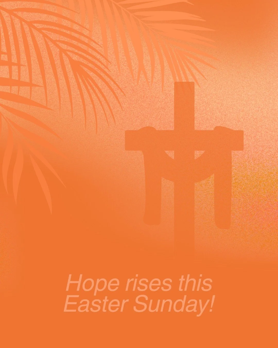 Rejoice this Easter Sunday! 🌿May your hearts be filled with joy, peace, and the promise of brighter days ahead 🙏✨