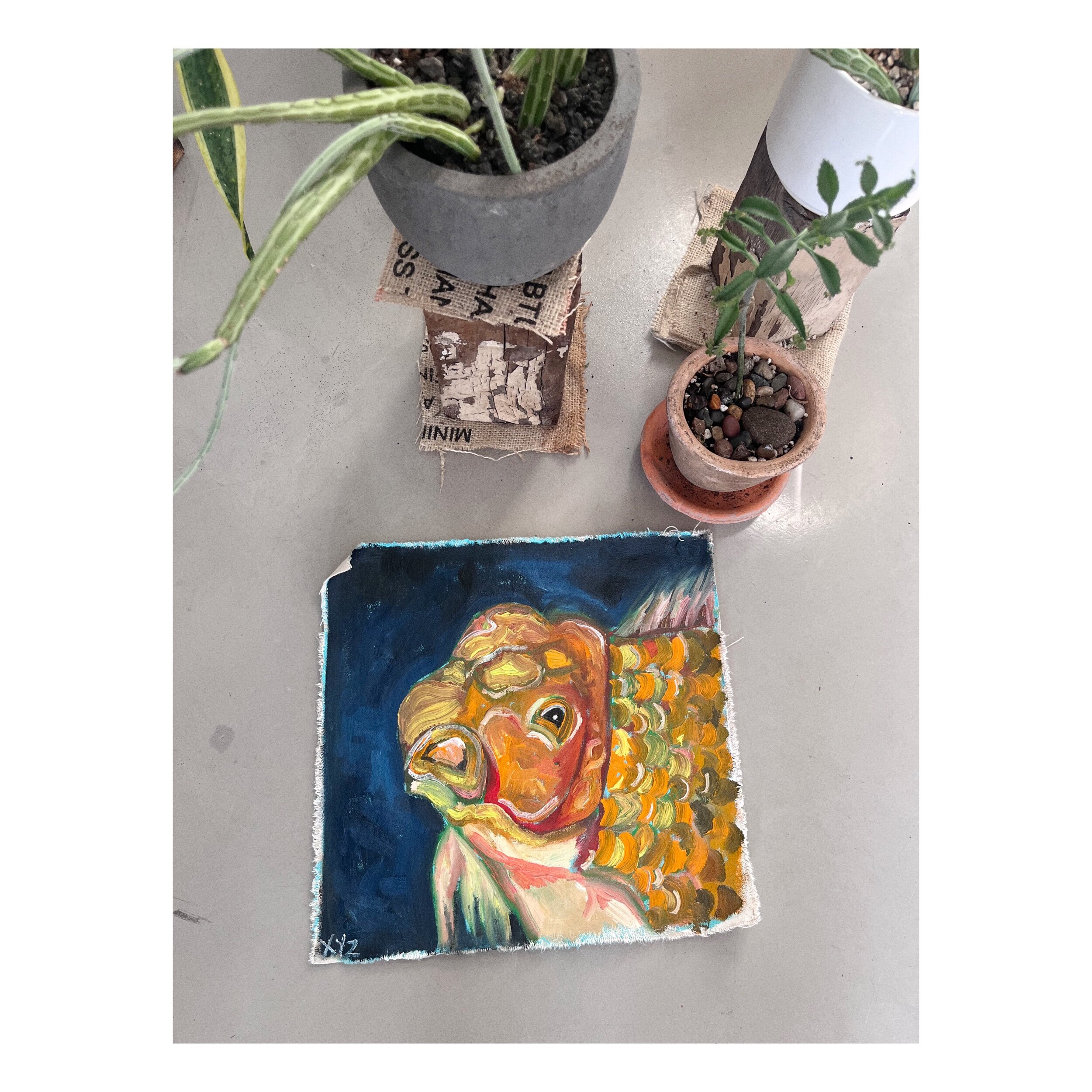 CCCEF121-6E72-429A-BEB1-C42274924986