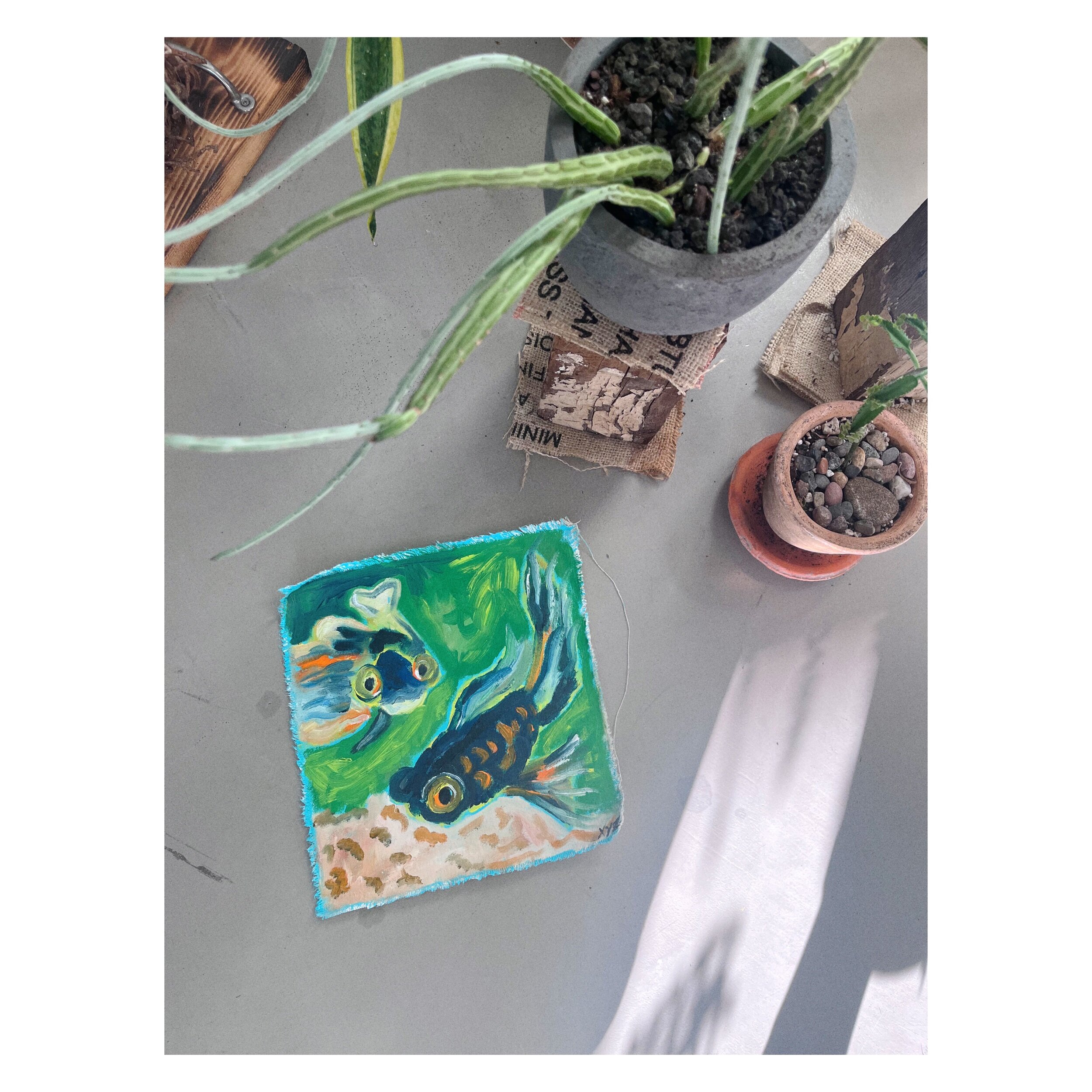 04F5659B-93A9-4617-82D9-FE8DD9087659