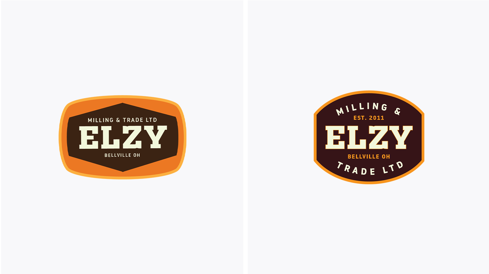 ELZY Logo-013.png
