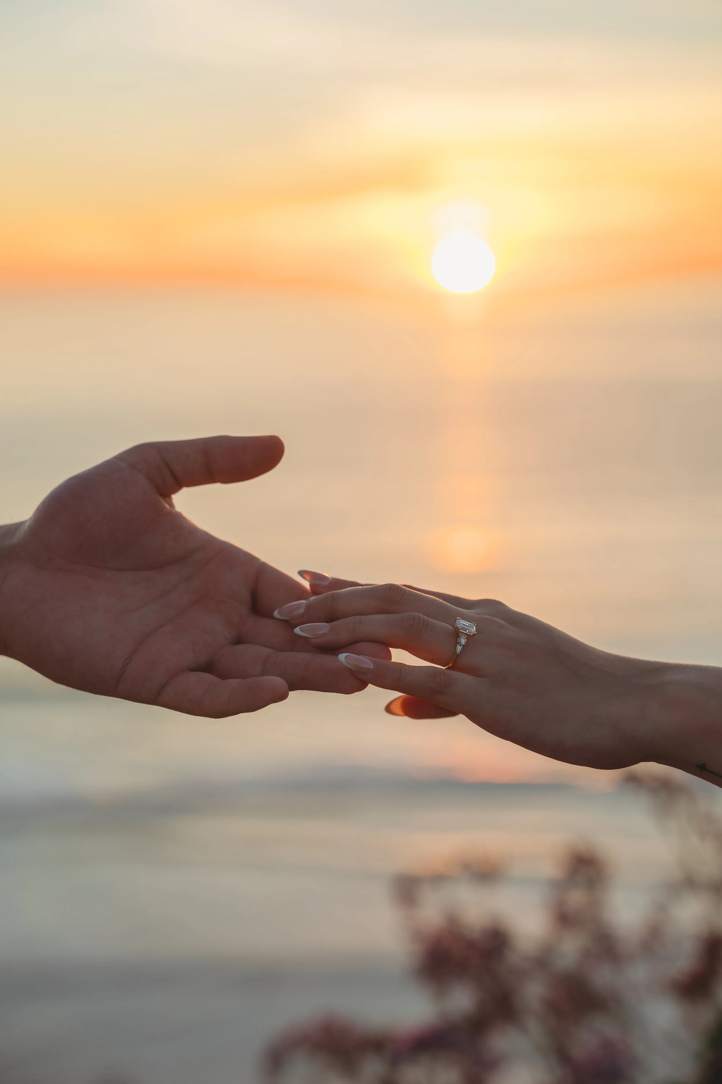 A Romantic Del Mar Surprise Proposal Overlooking Torrey Pines During a San Diego Babymoon