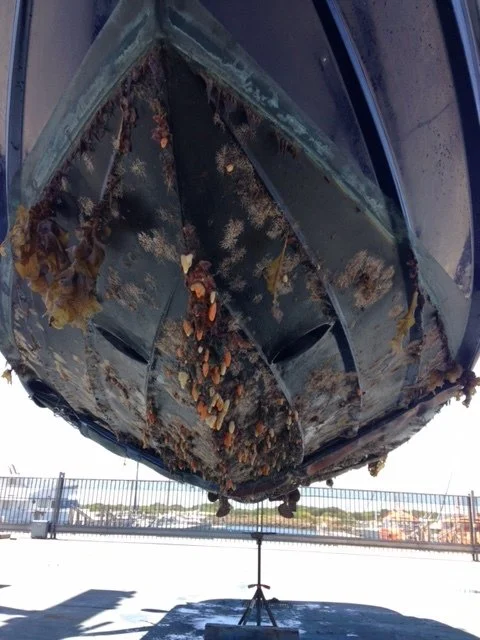antifouling Blairgowrie Marina
