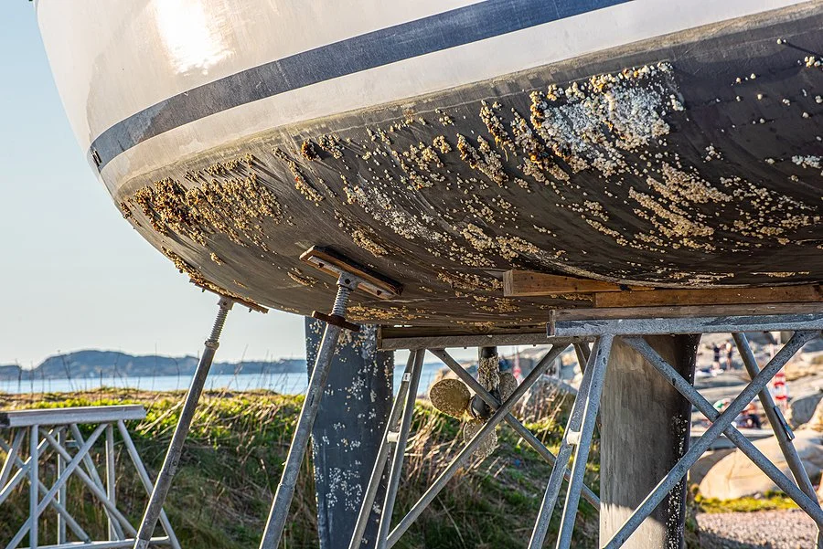 The importance of antifouling at NewQuay Marina