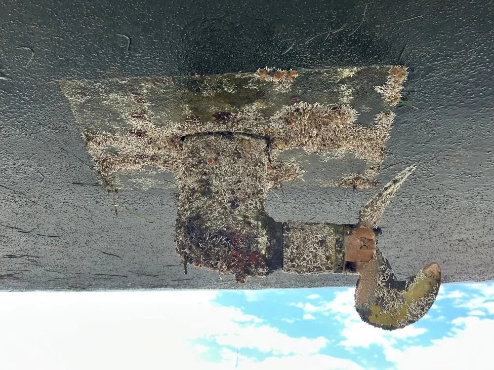 Antifouling at Marina Martha Cove