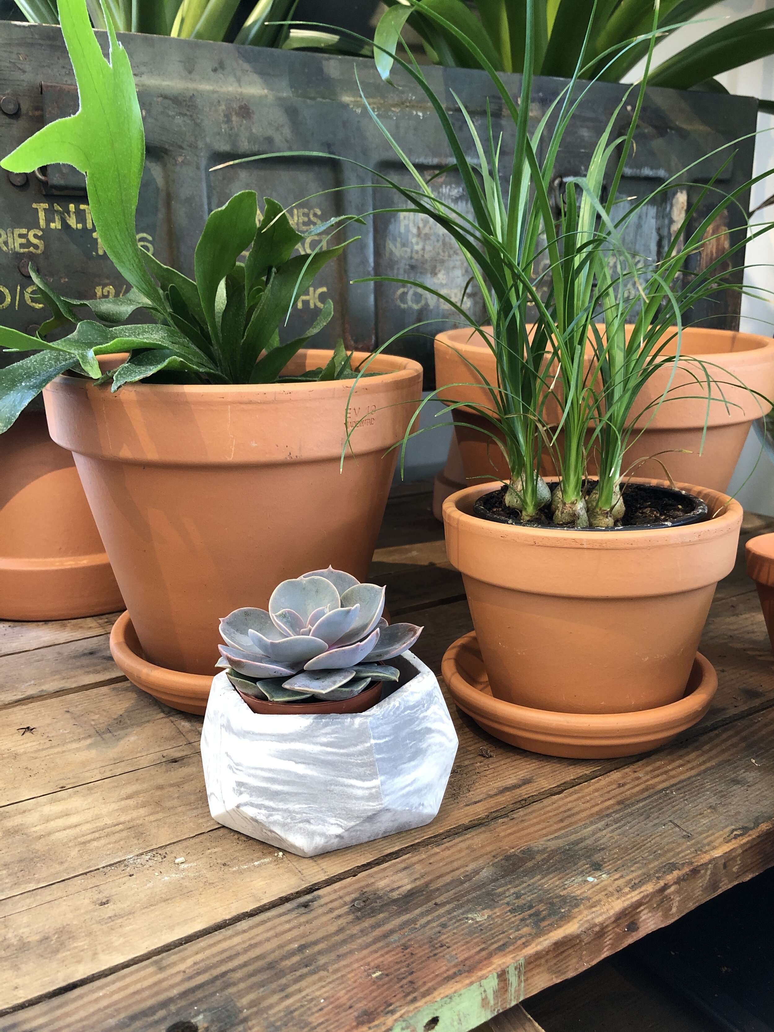 EA4C01EE-99DC-4DE1-8CEF-171311A052C9