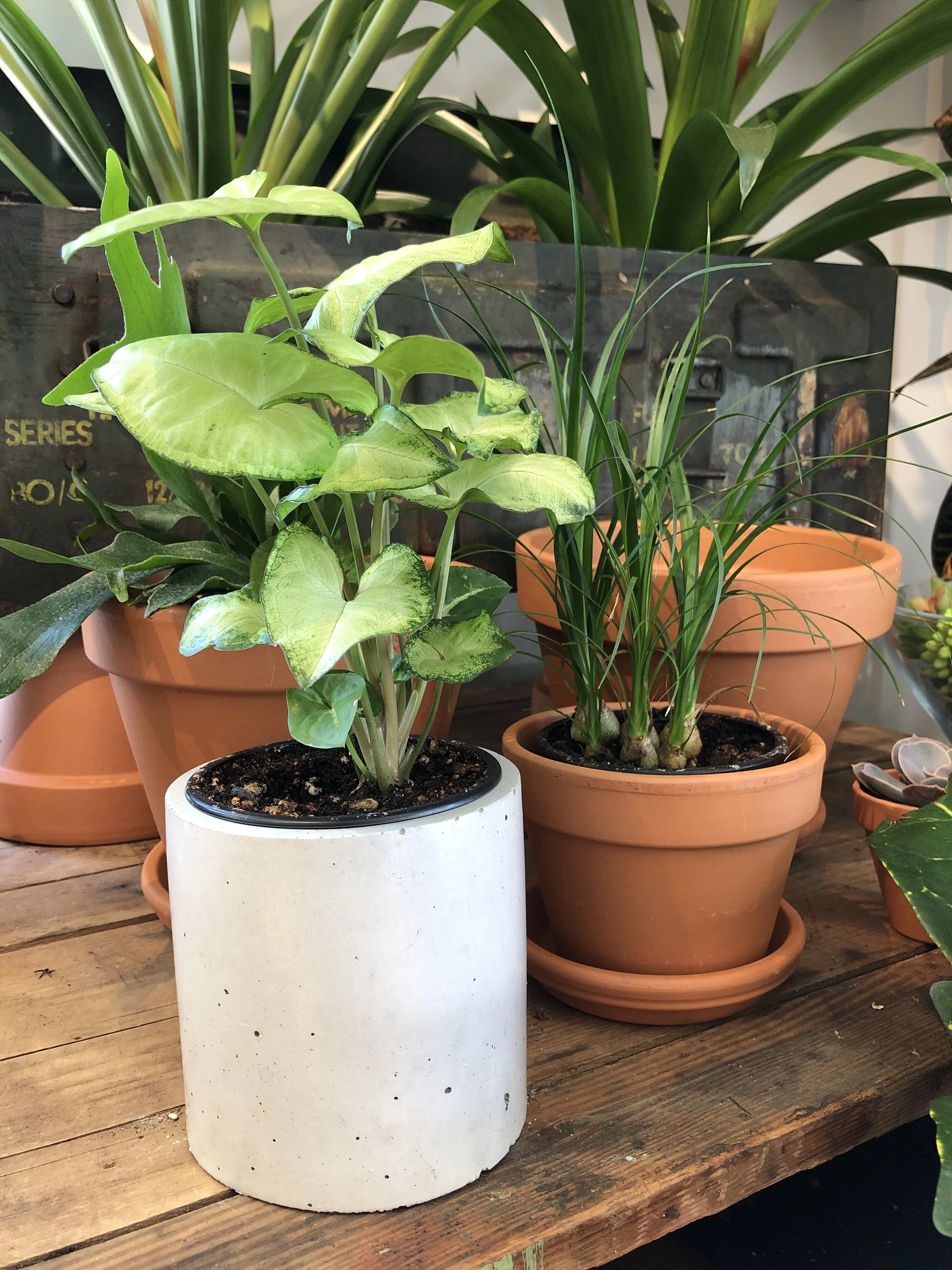 CC152768-3390-4F4B-BA4C-95A82C9EBA7C