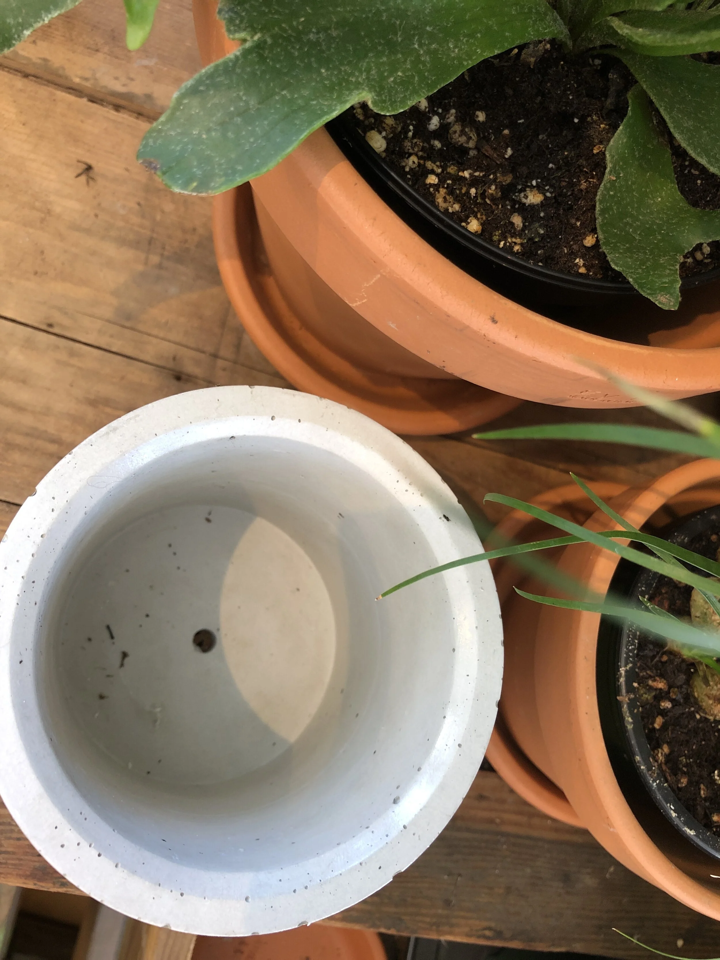 F7690E8F-689B-448B-B120-FC0A0BEDB406