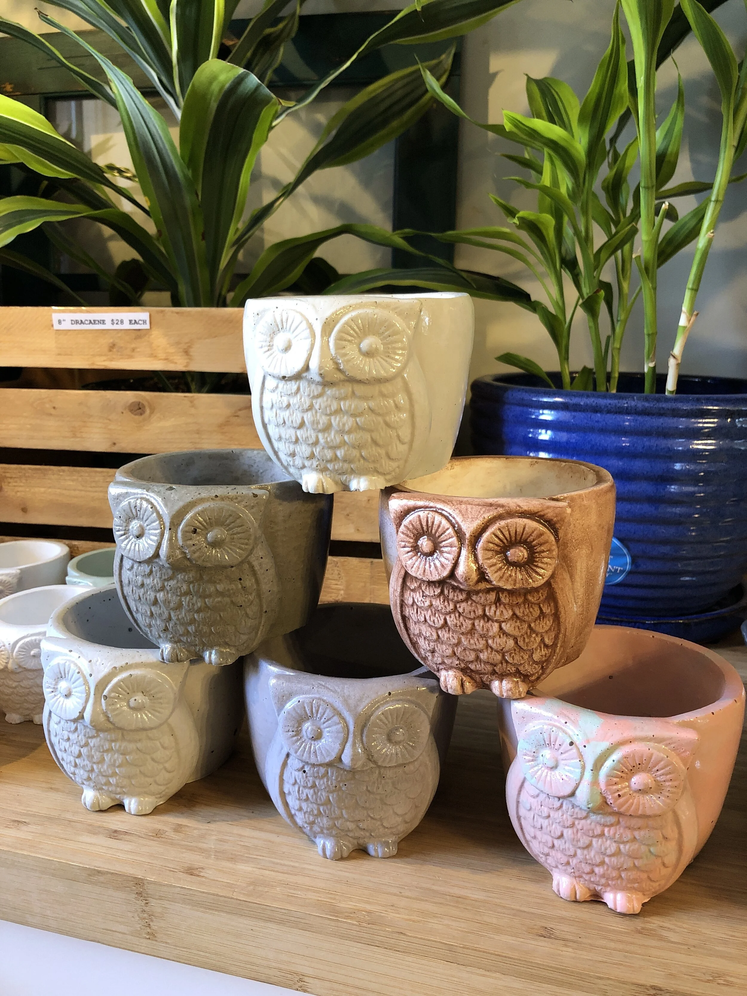 90BED3FE-657E-4E21-A977-CEC162E8FEDA