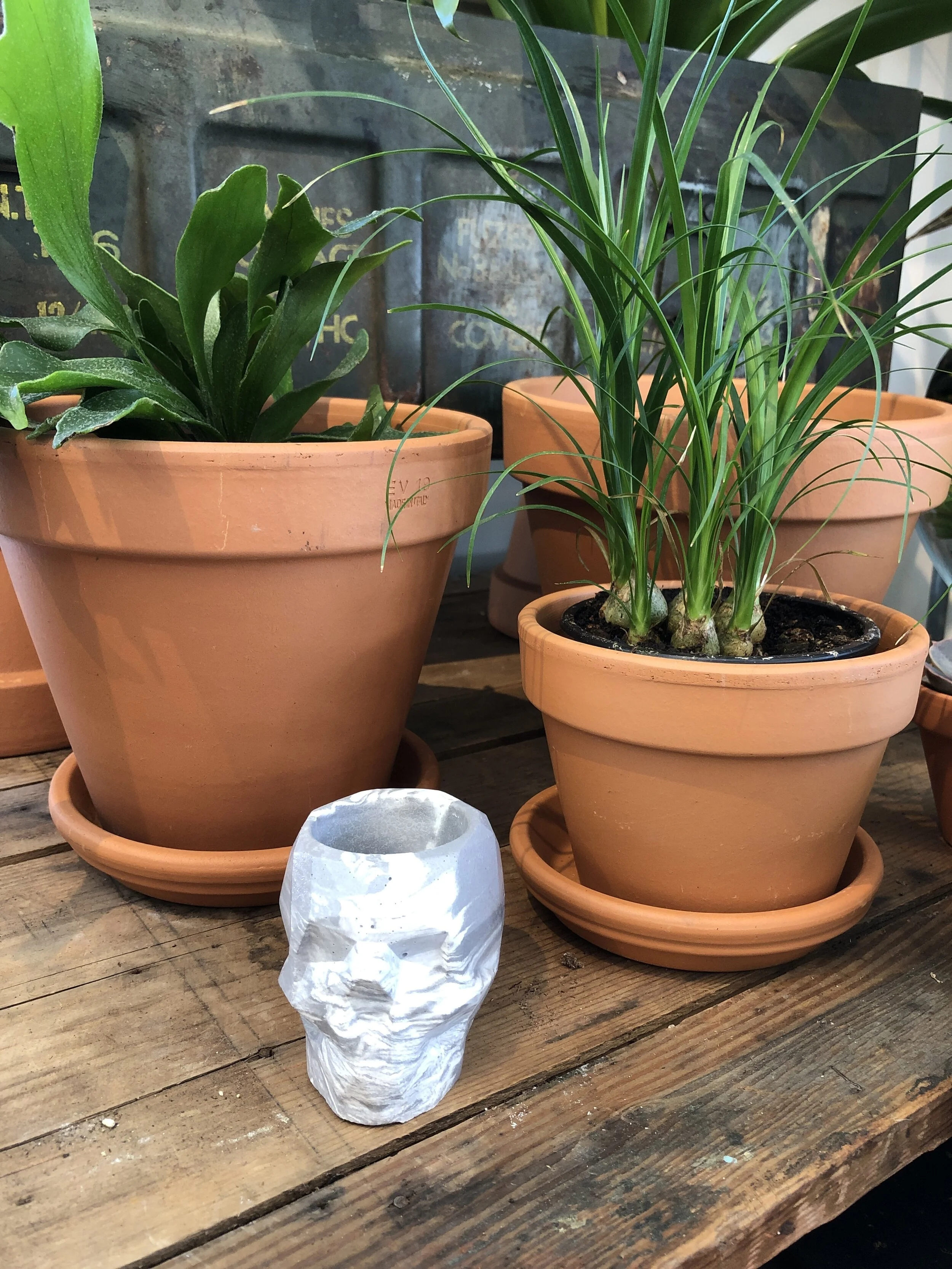 971D49BA-C48B-4EF4-9896-DA4E1131872C