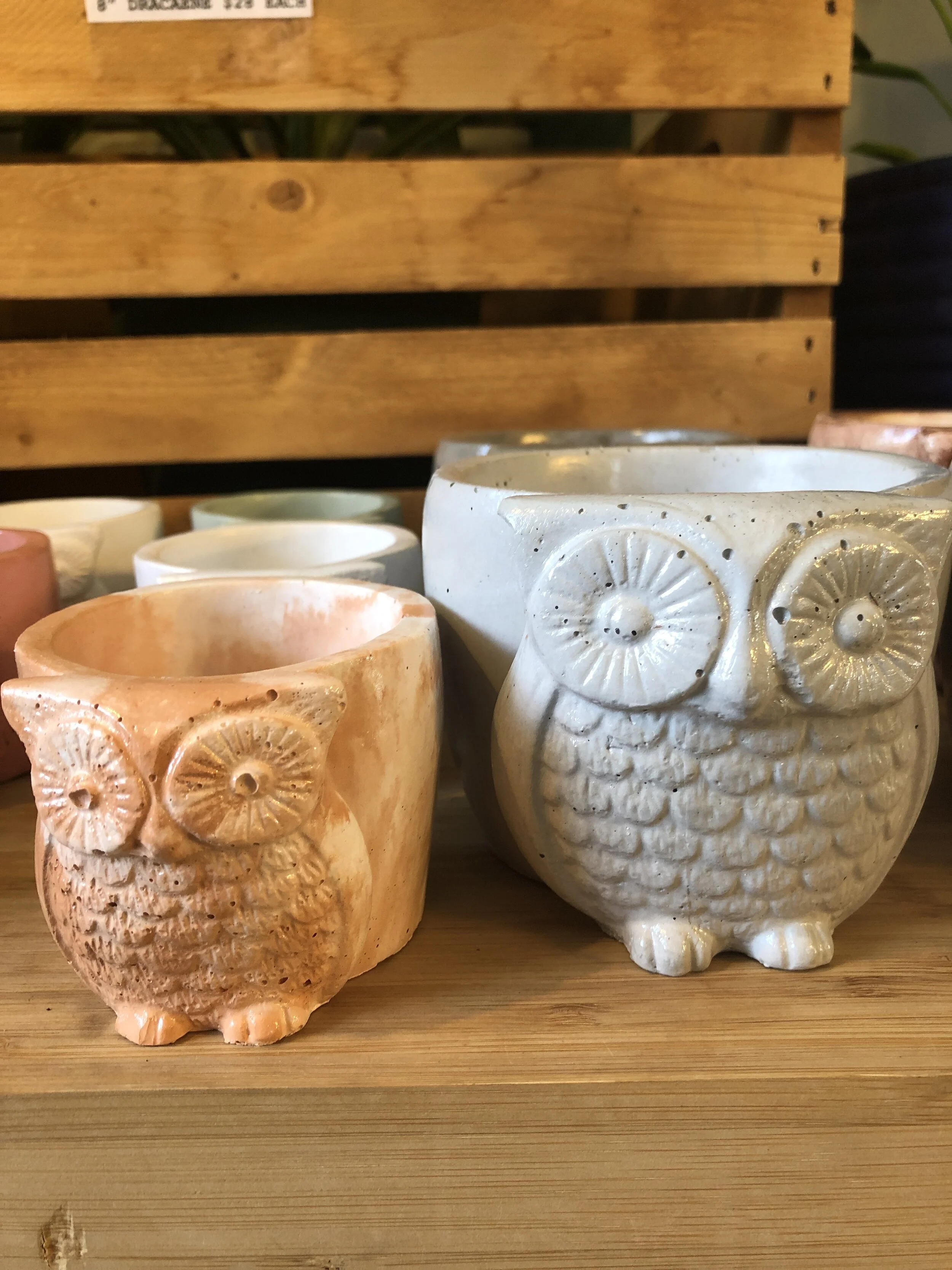 4290C201-603B-42DB-92AA-A8D875730C31