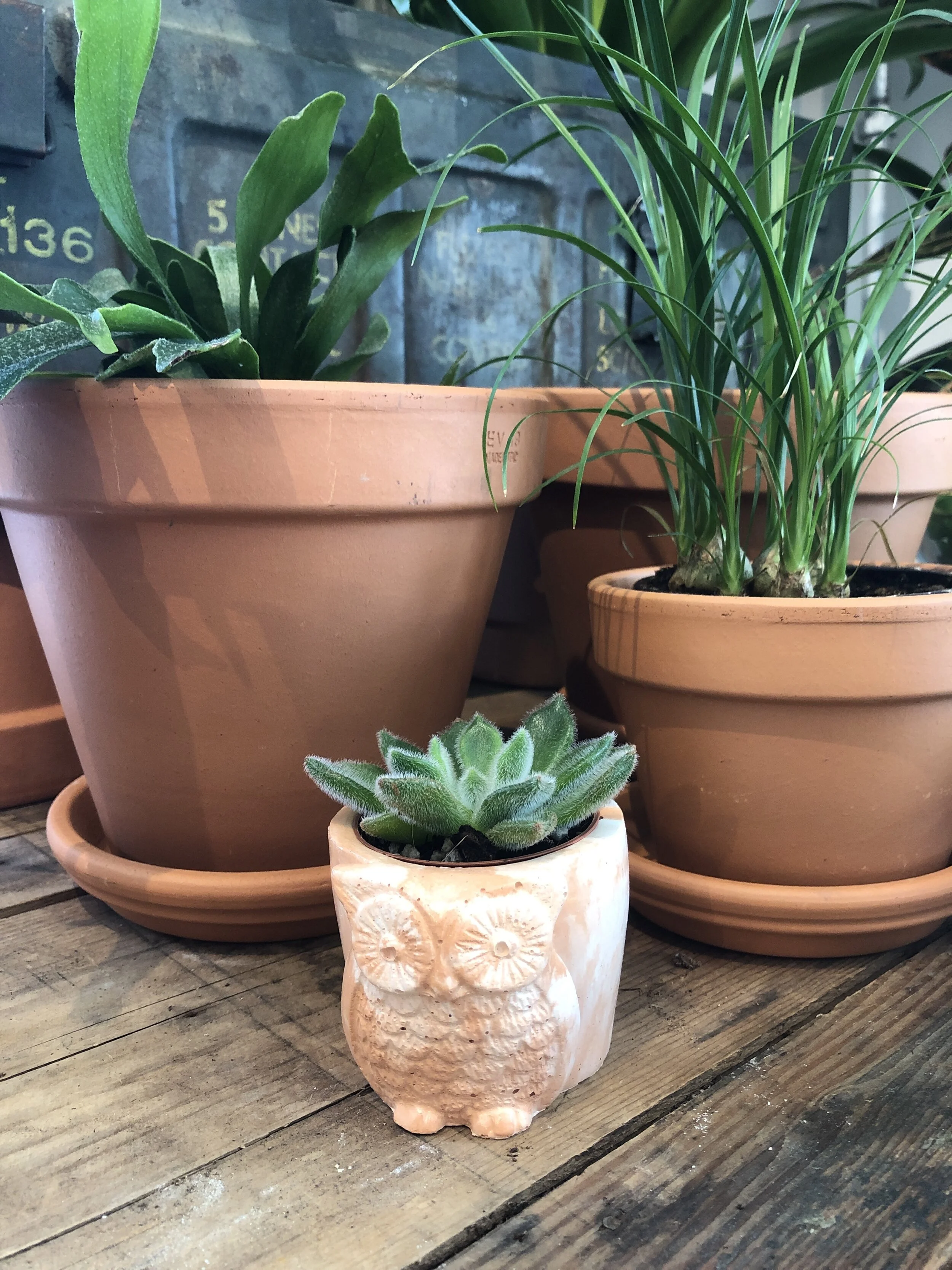 306B05E6-1C3A-486A-876F-B853265AEA06