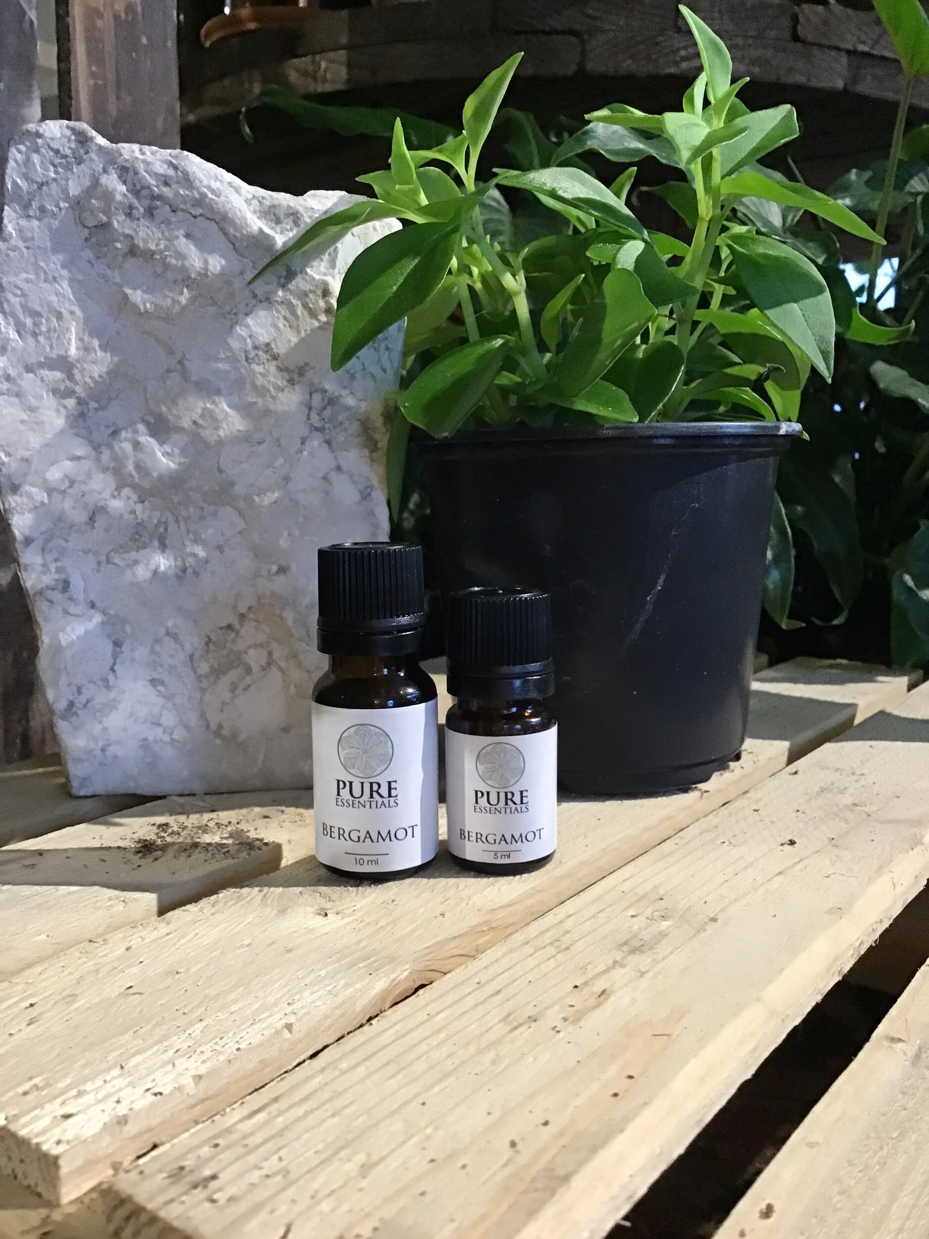 B3E535C6-BB07-456B-8E40-48496F50117D