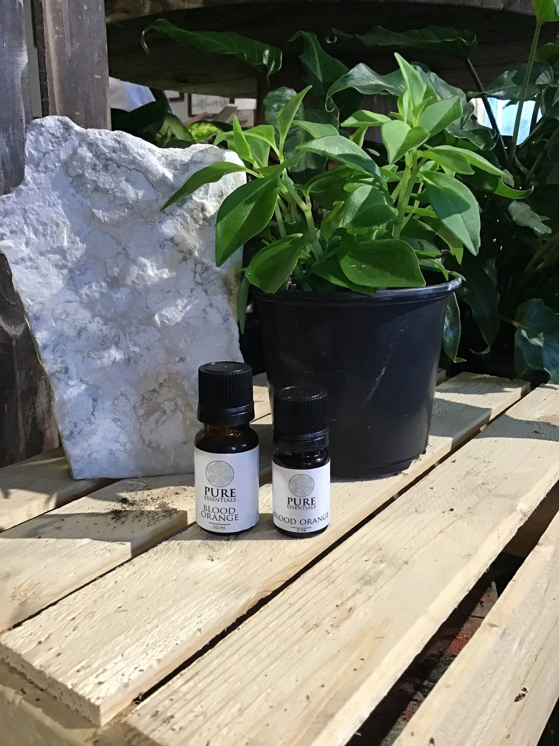 E2C63F34-95C3-4FE5-998C-C12C3F8D9CAA