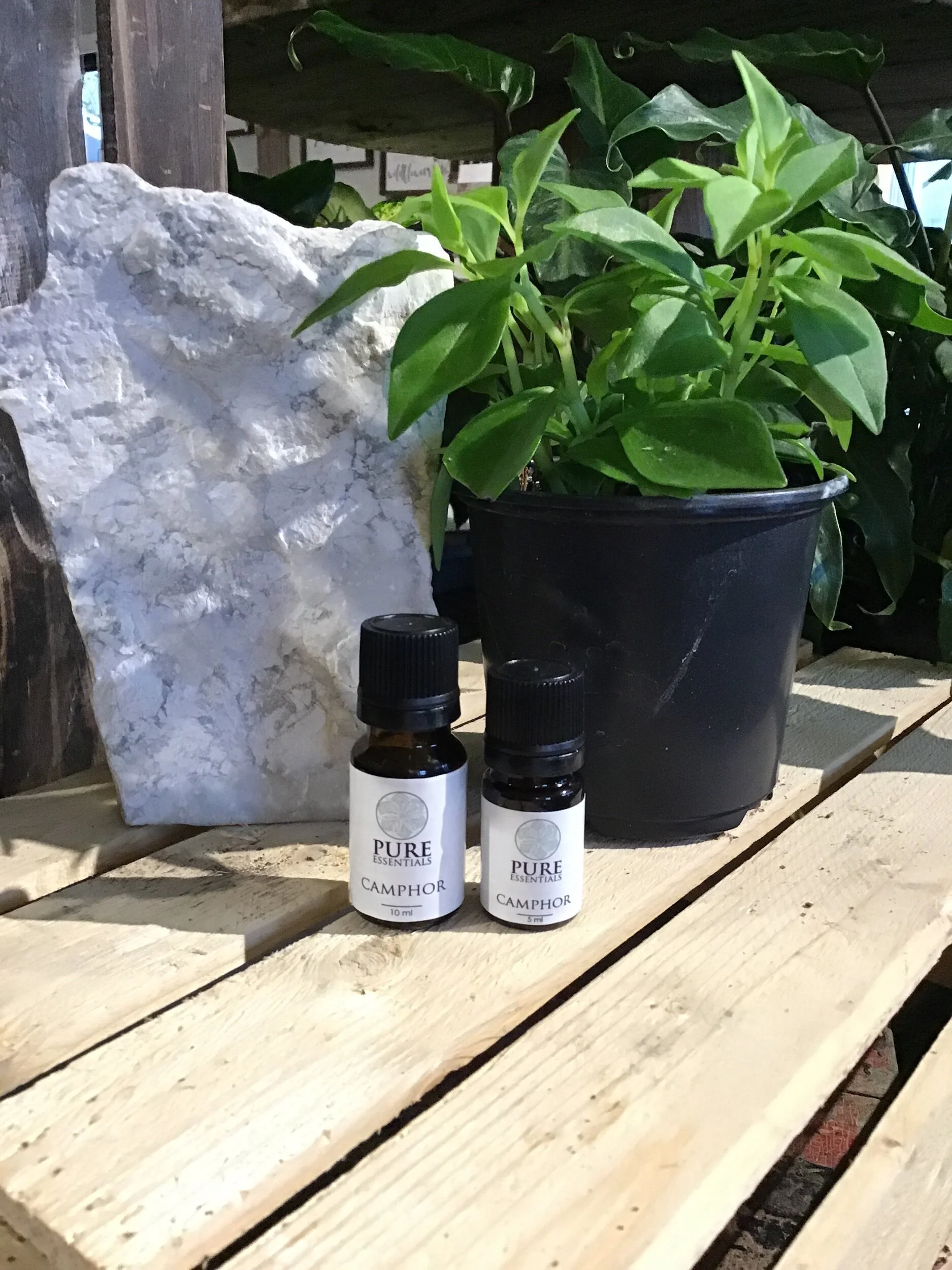 9C9C4BDD-6B50-4E3B-98A0-27DB04EAA7E8