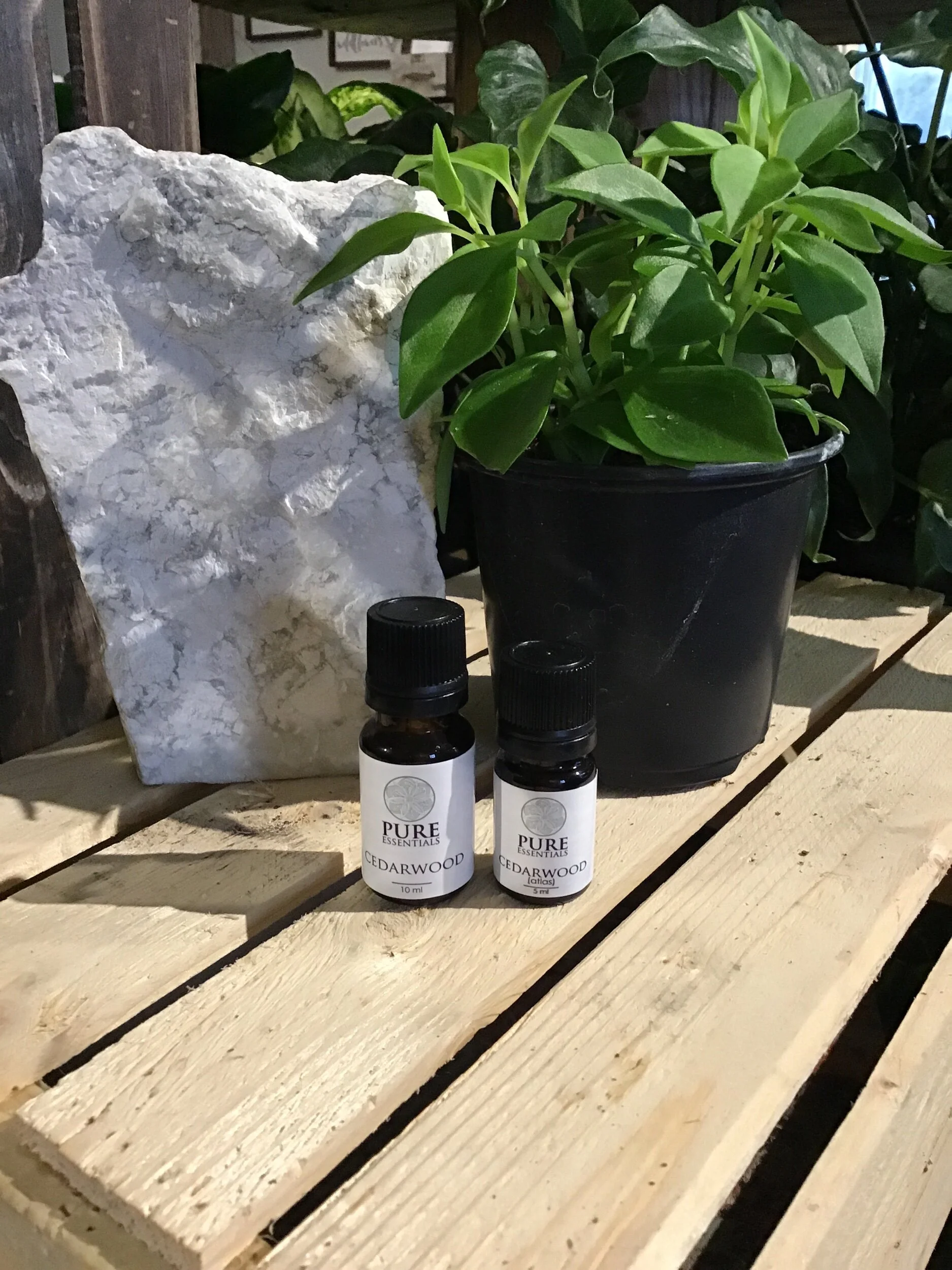 EEF5CC78-801C-46A3-827E-C03744EF10BB